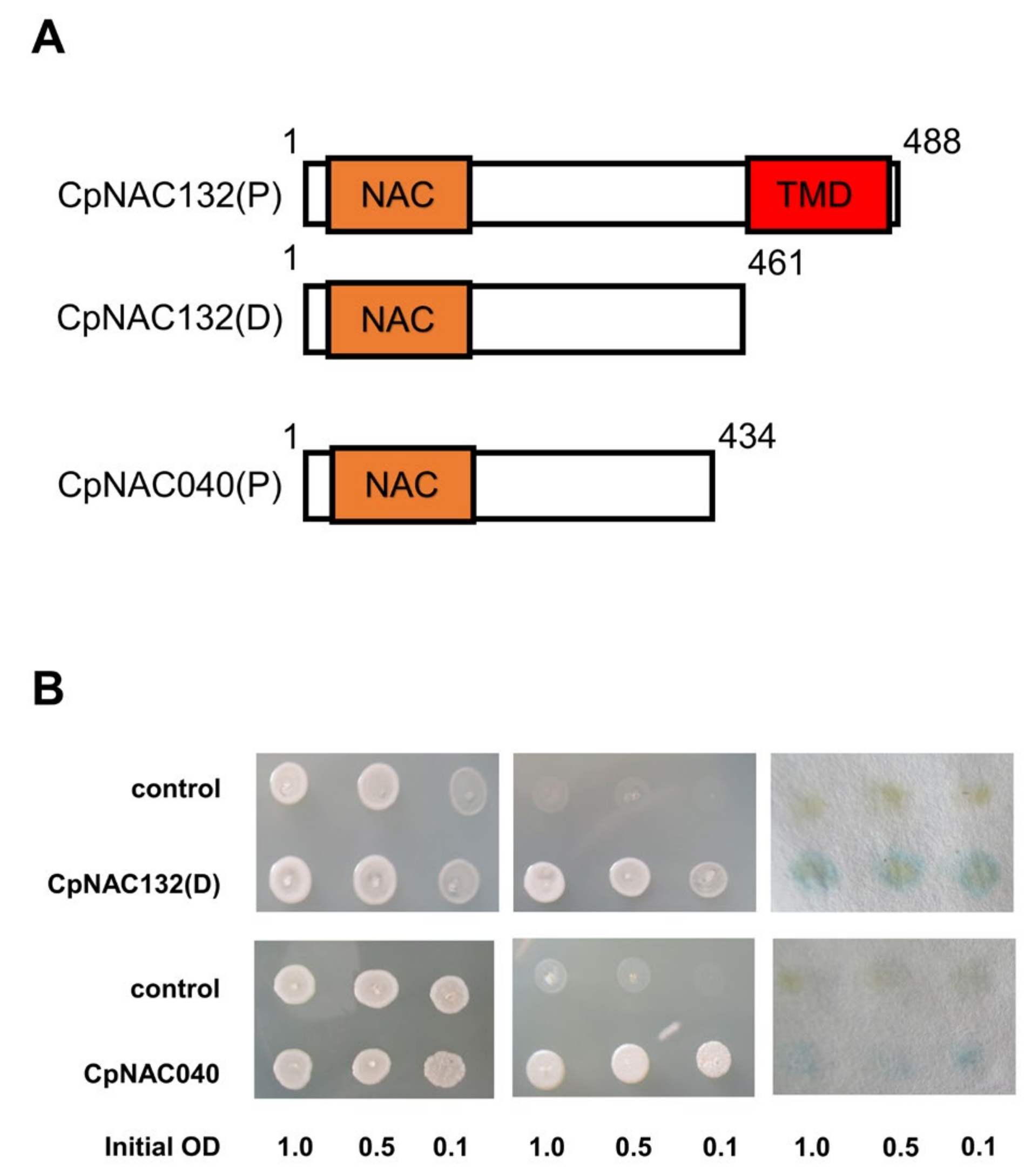 Forests 15 00479 g008 Forests 15 00479 g008