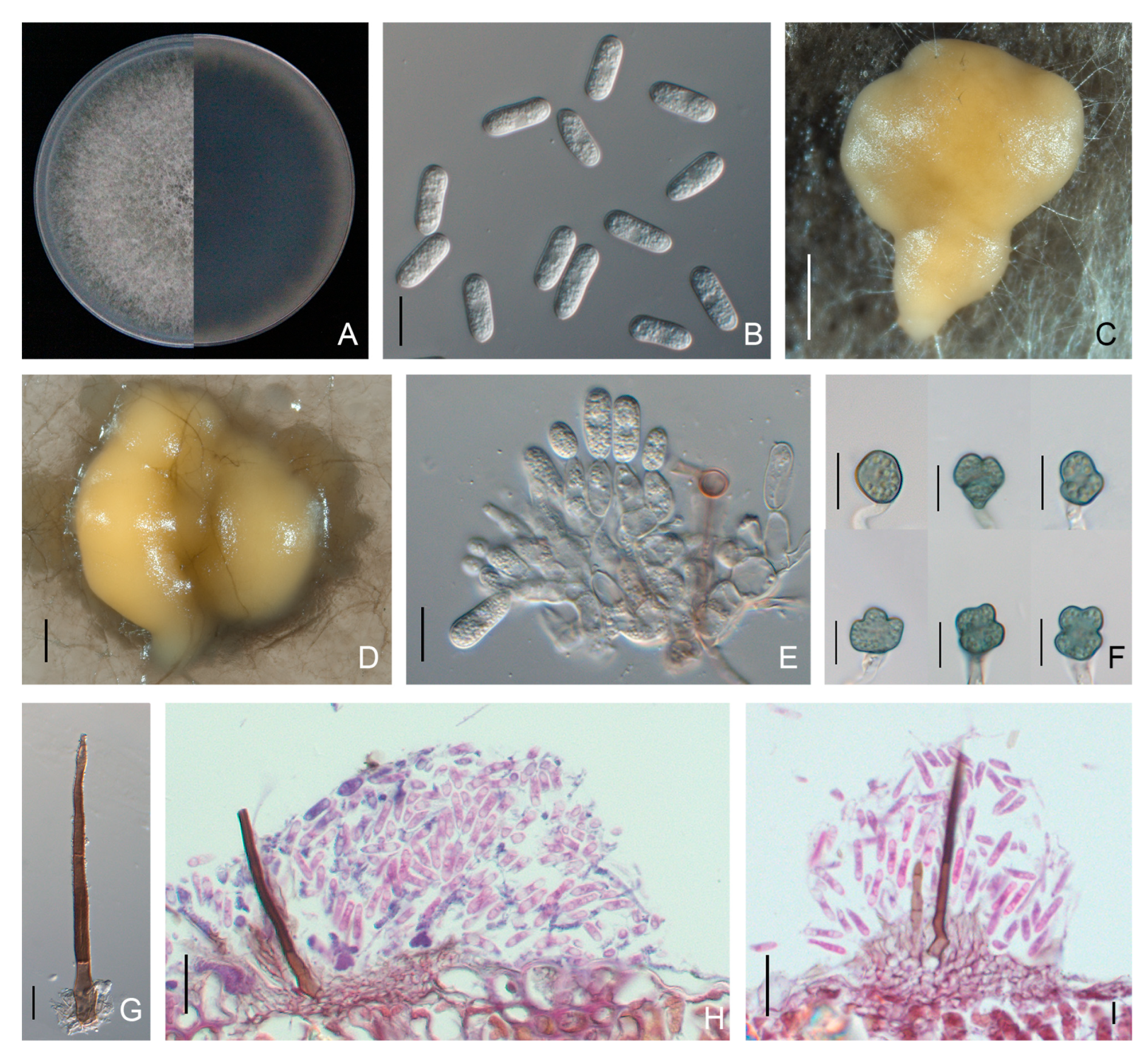 Forests 15 00490 g004