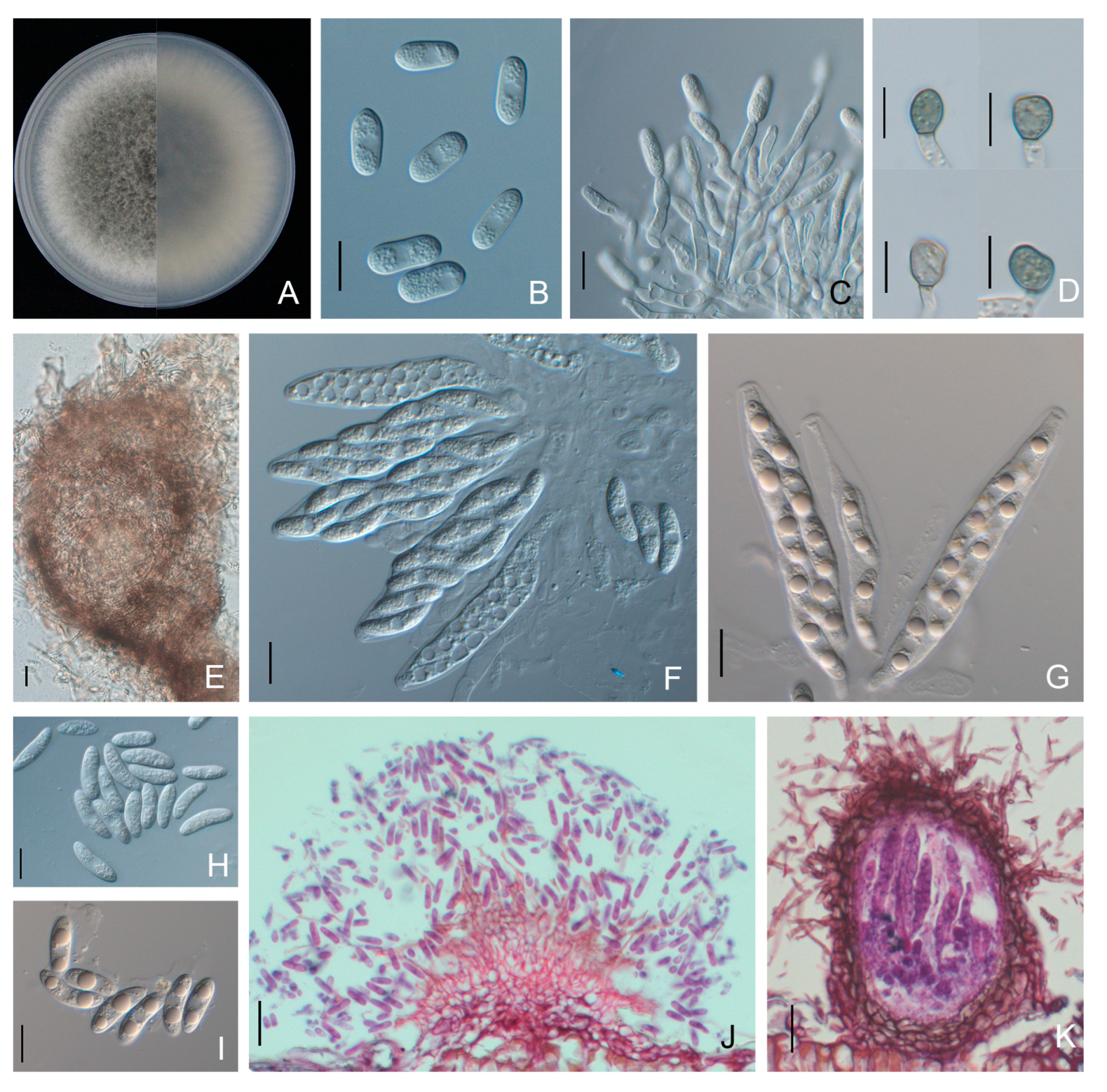 Forests 15 00490 g005