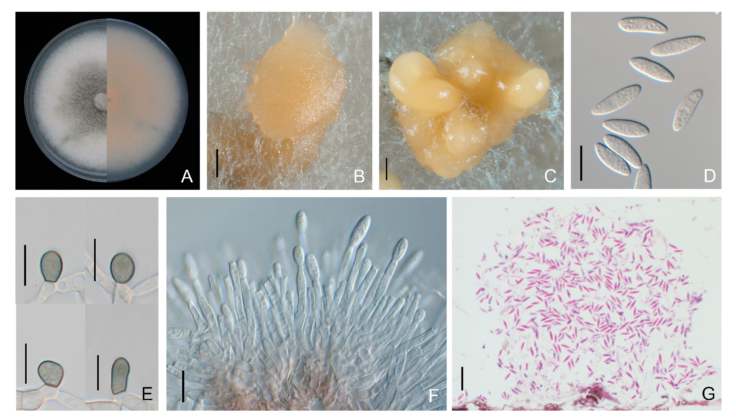 Forests 15 00490 g008
