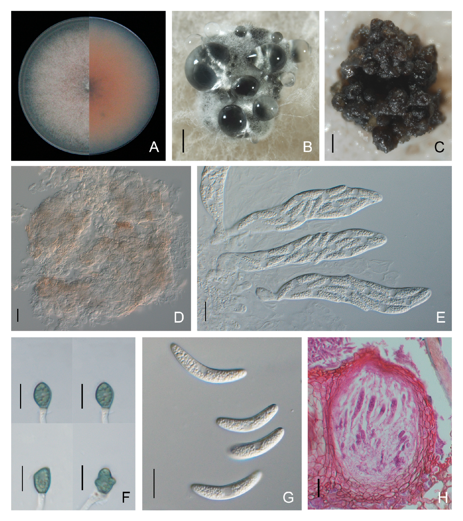 Forests 15 00490 g010