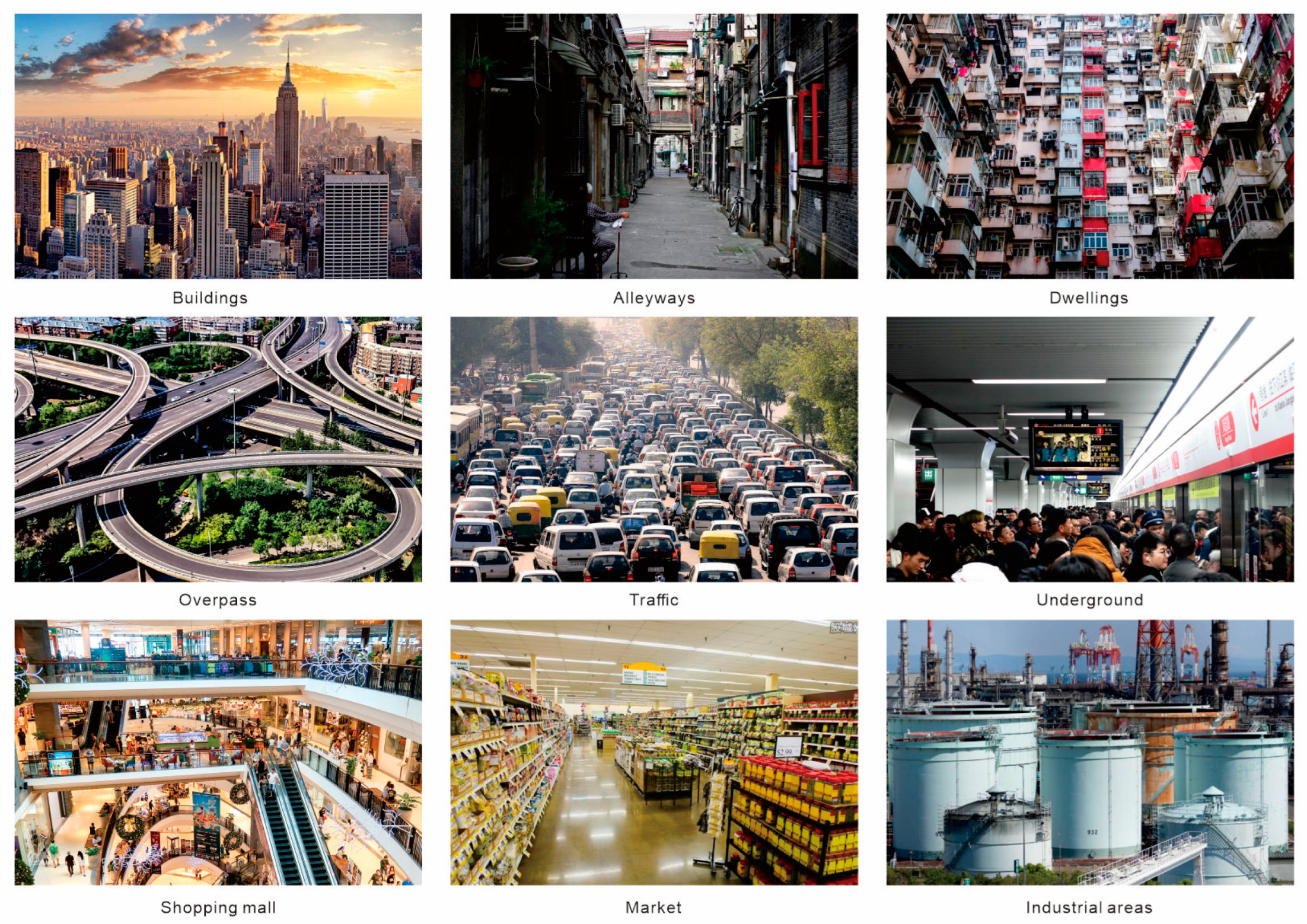 Forests 15 00498 g0a1