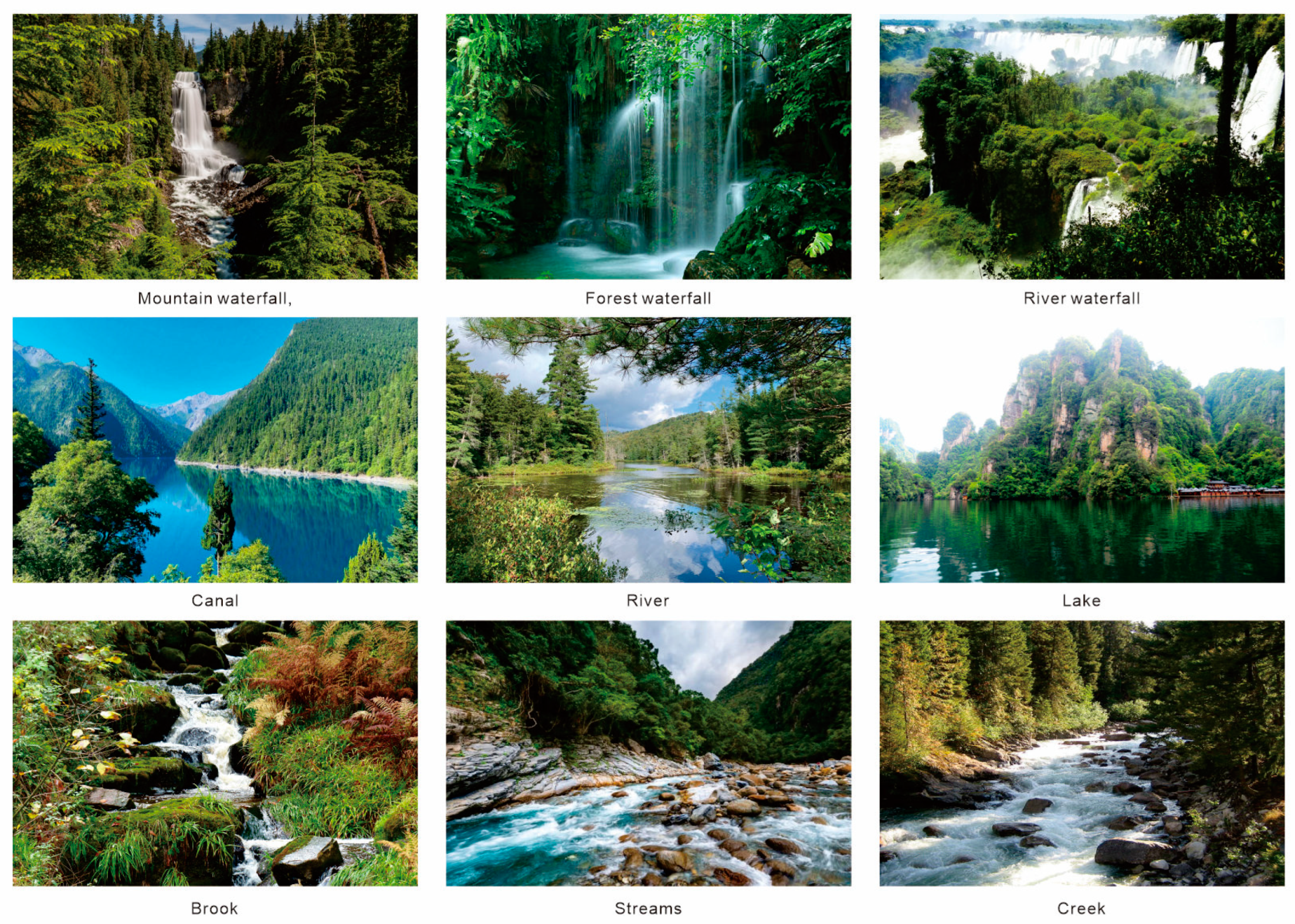 Forests 15 00498 g0a3