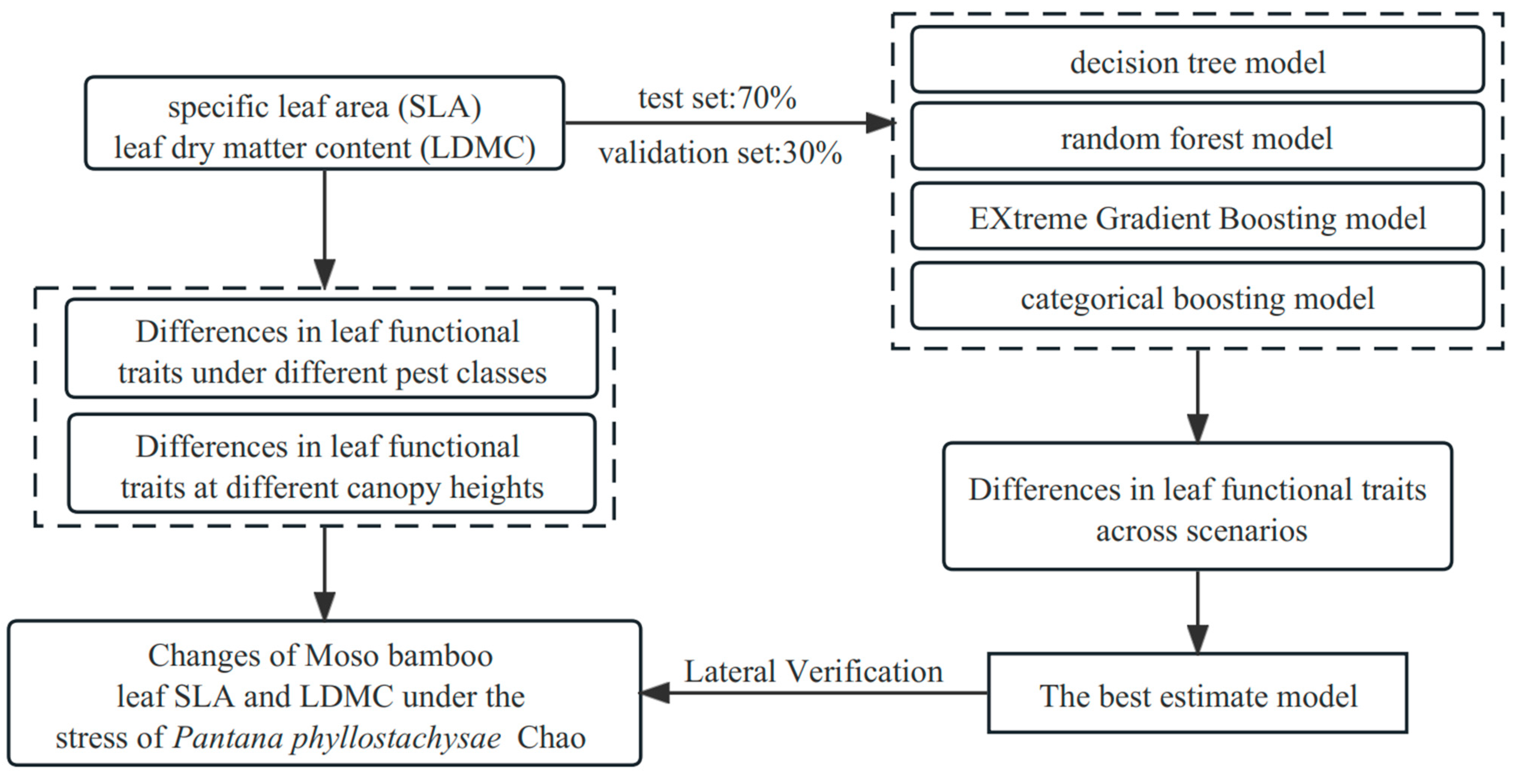 Forests 15 00540 g003