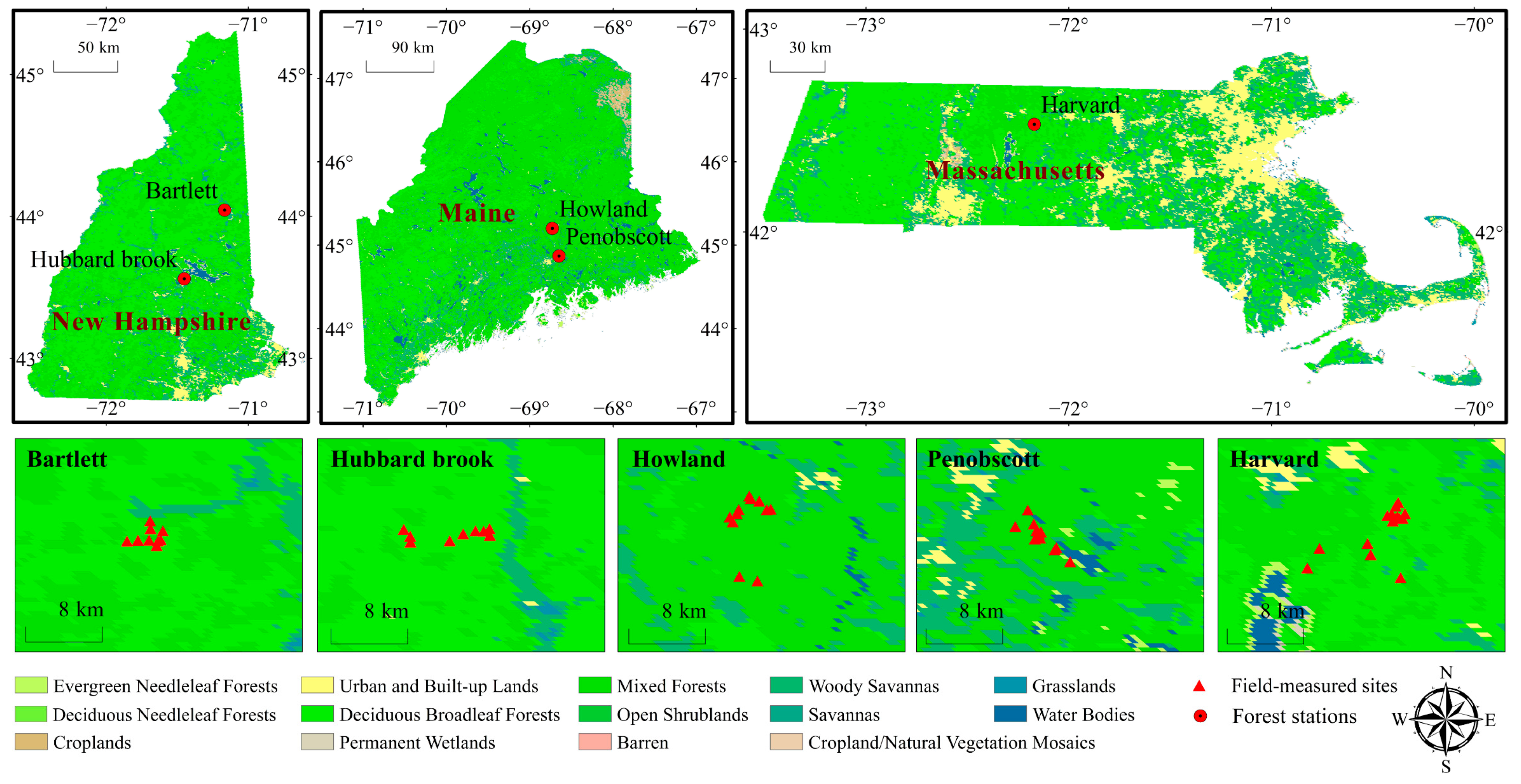 Forests 15 00541 g001
