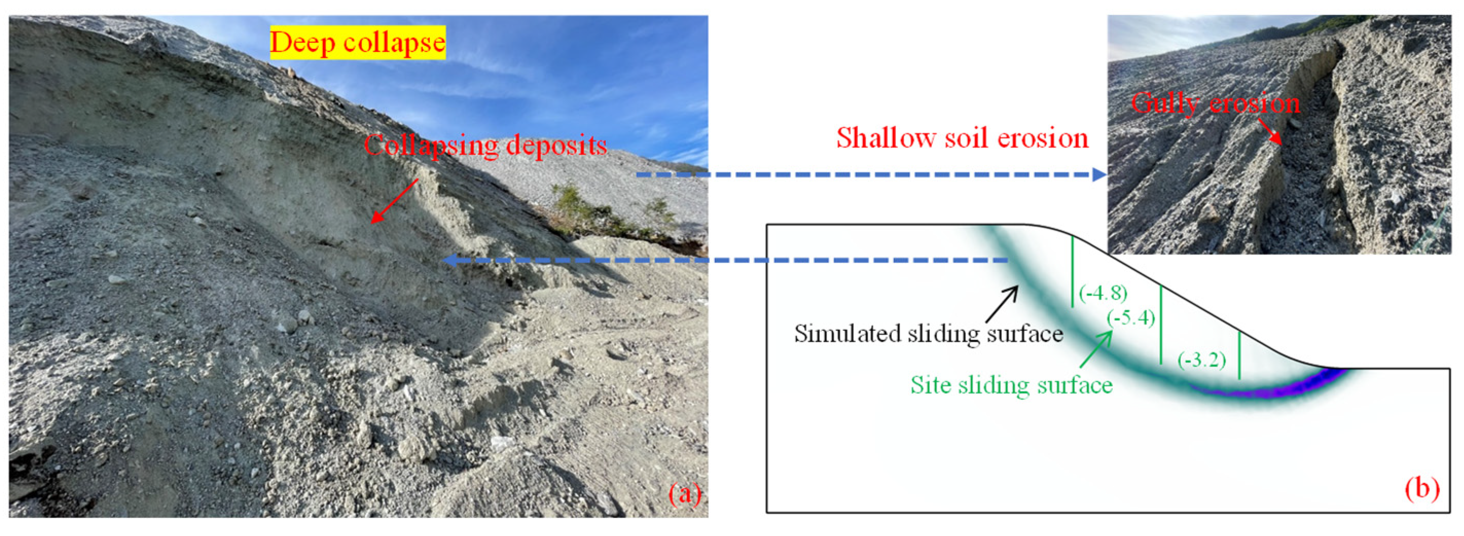 Forests 15 00640 g012