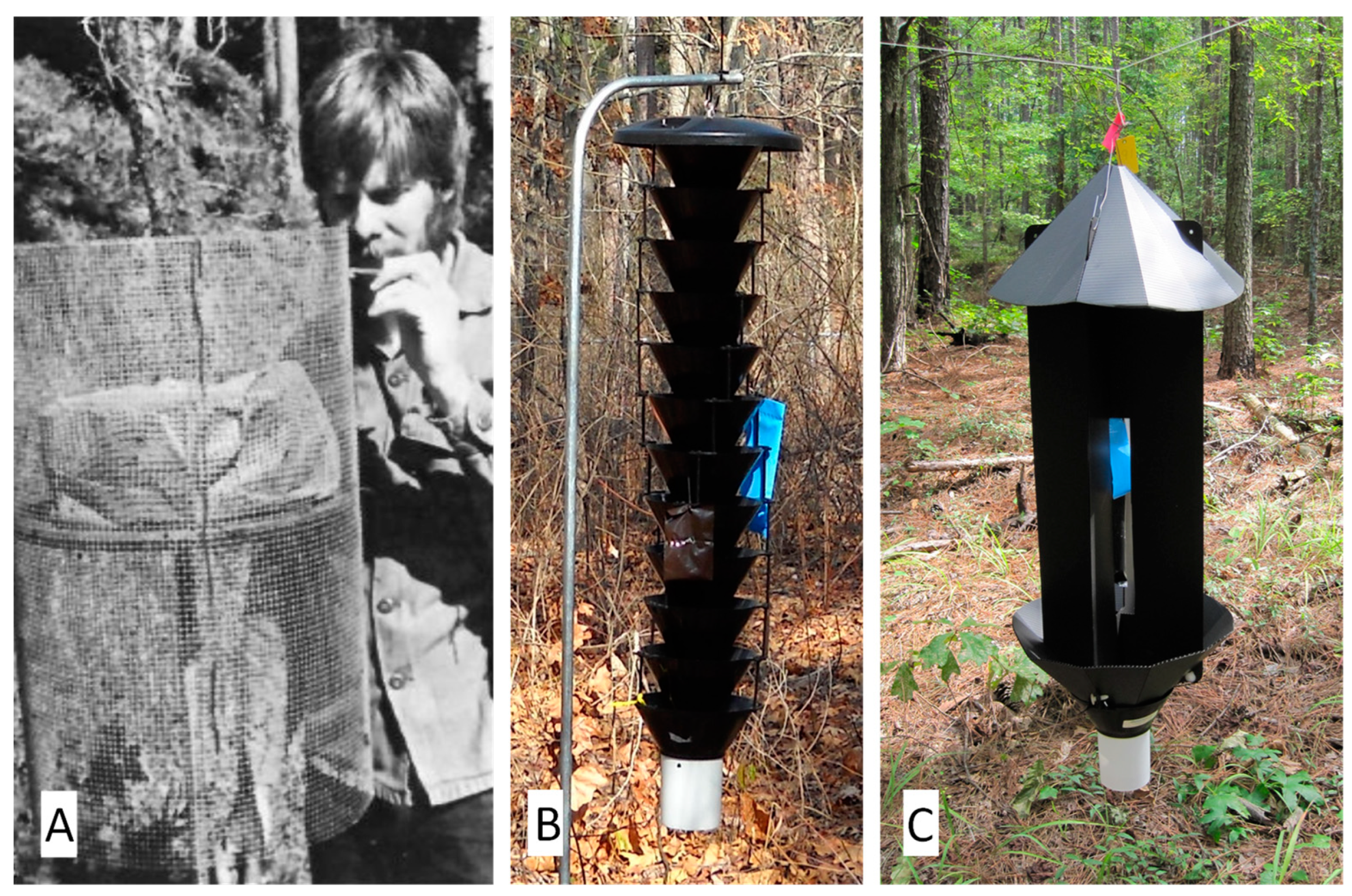 Forests 15 00642 g003 Forests 15 00642 g003