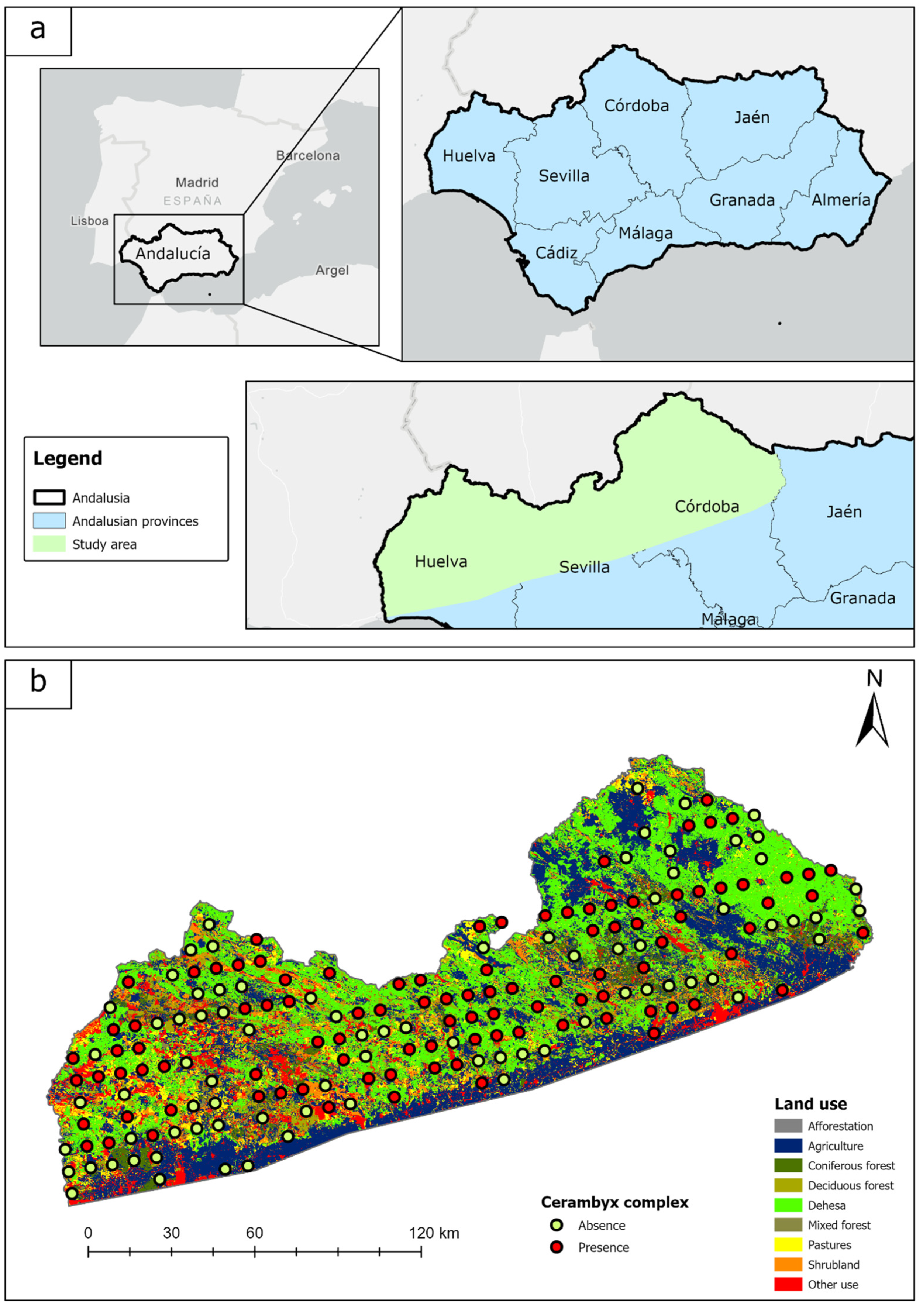 Forests 15 00648 g001