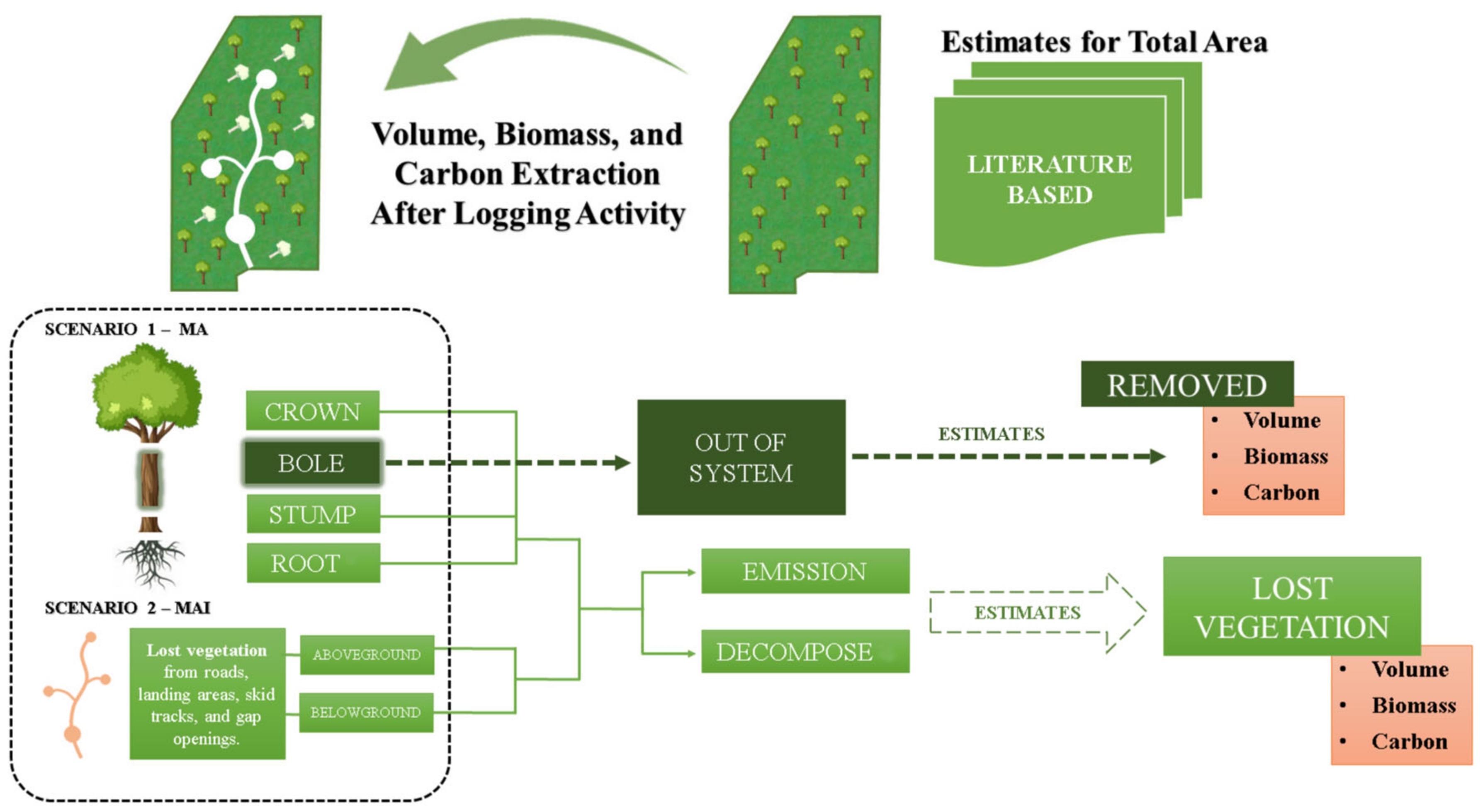 Forests 15 00652 g002