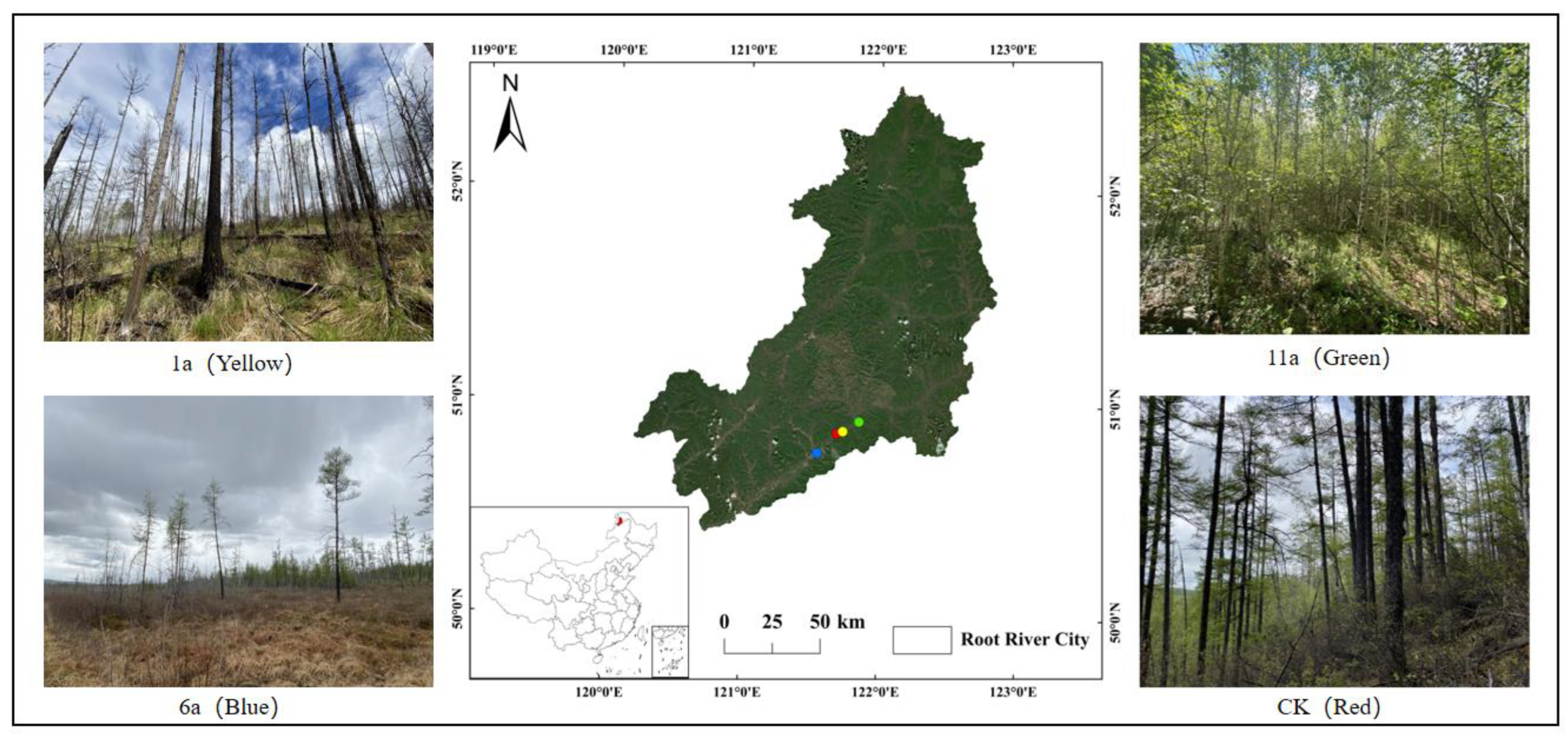 Forests 15 00664 g001