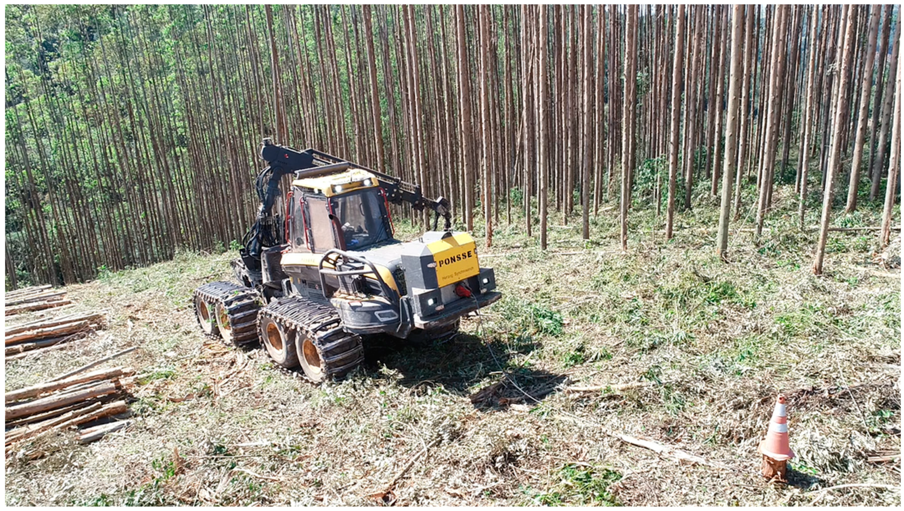 Forests 15 00666 g002