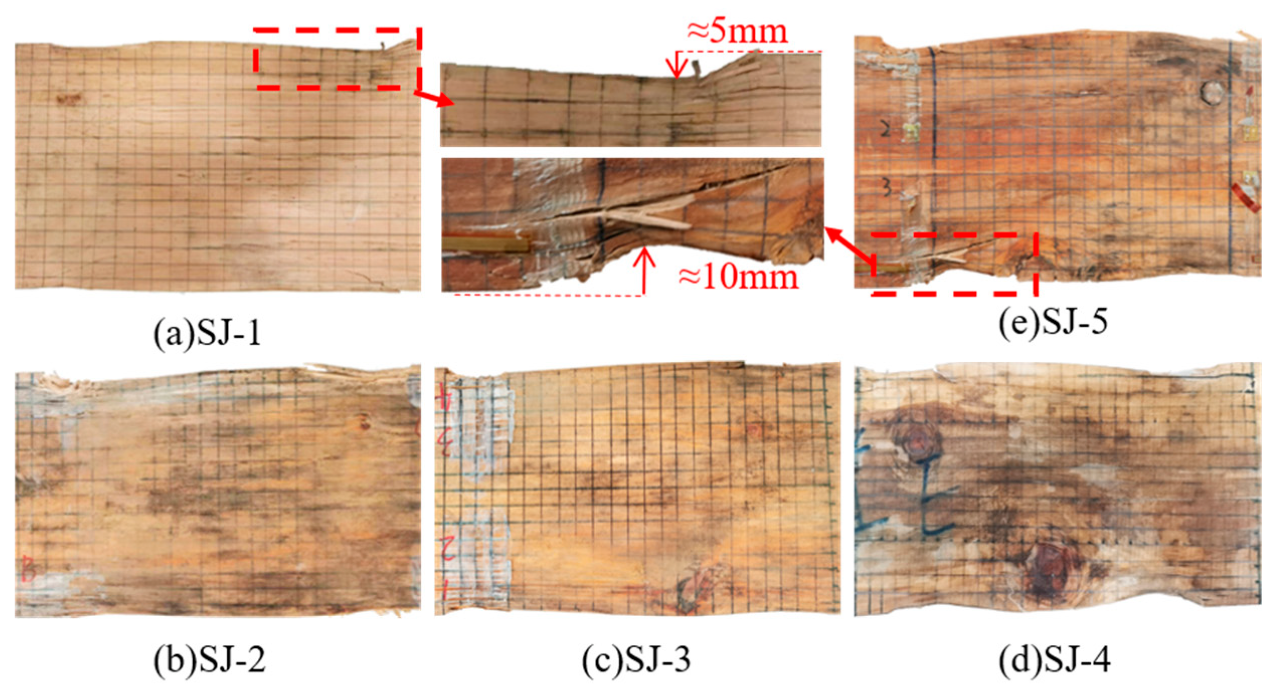 Forests 15 00667 g008