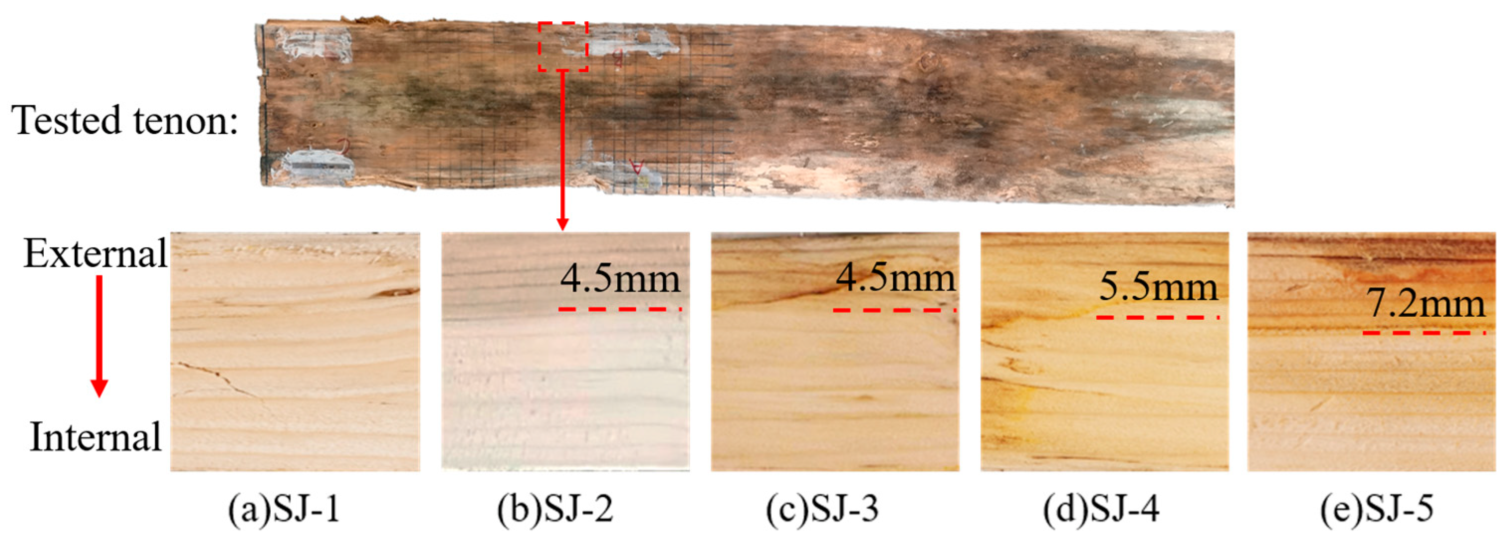 Forests 15 00667 g009
