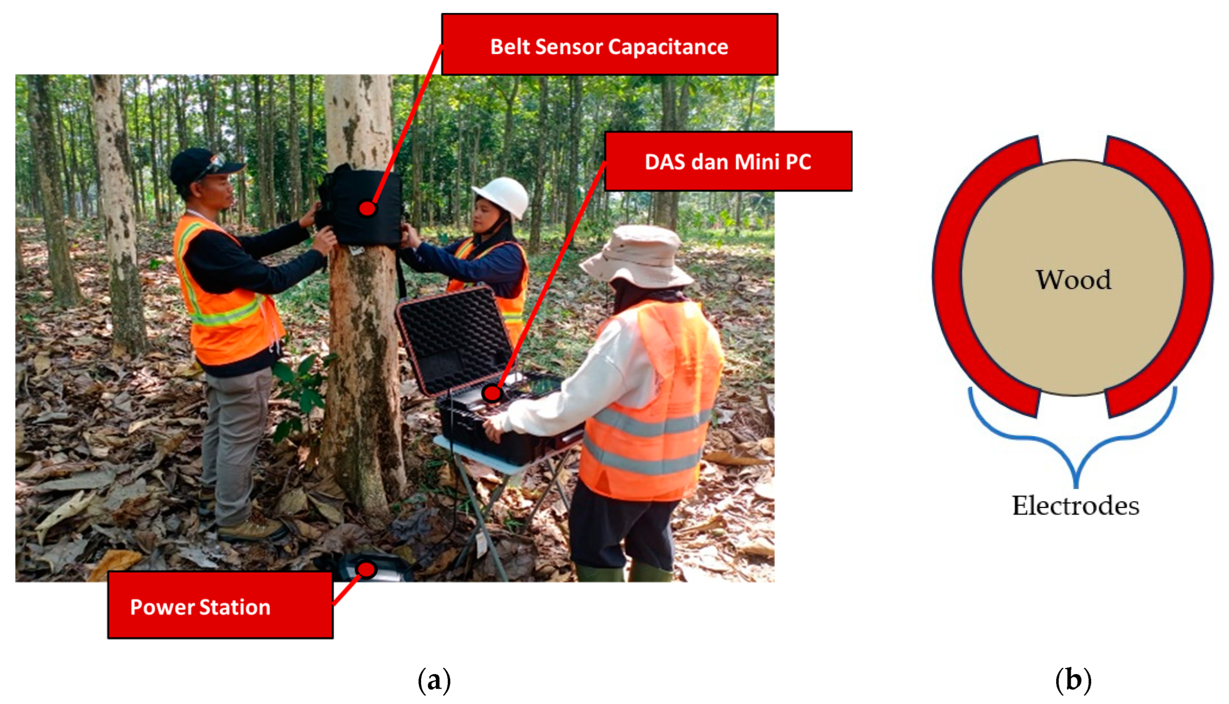 Forests 15 00669 g002 Forests 15 00669 g002