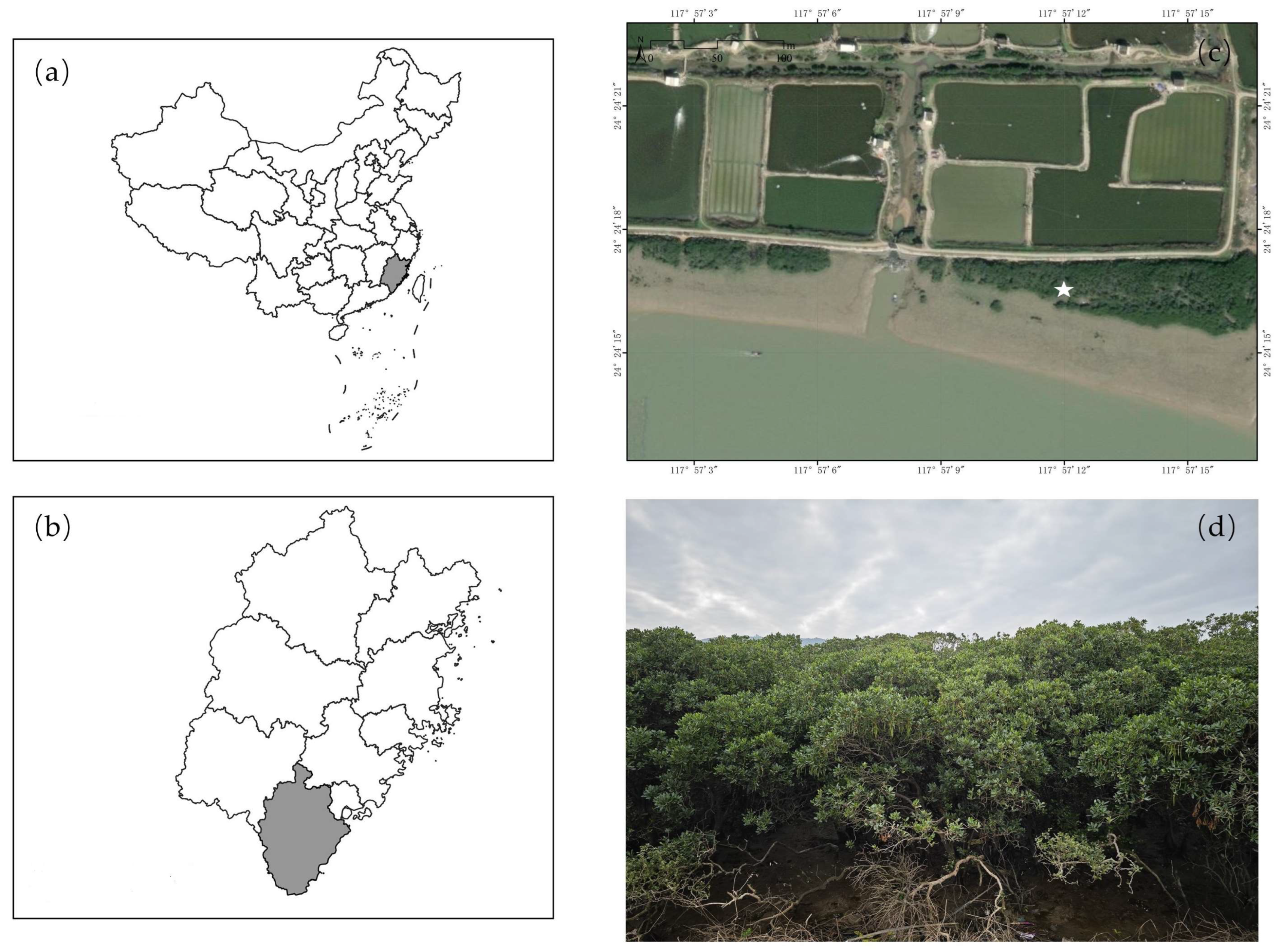 Forests 15 00672 g001