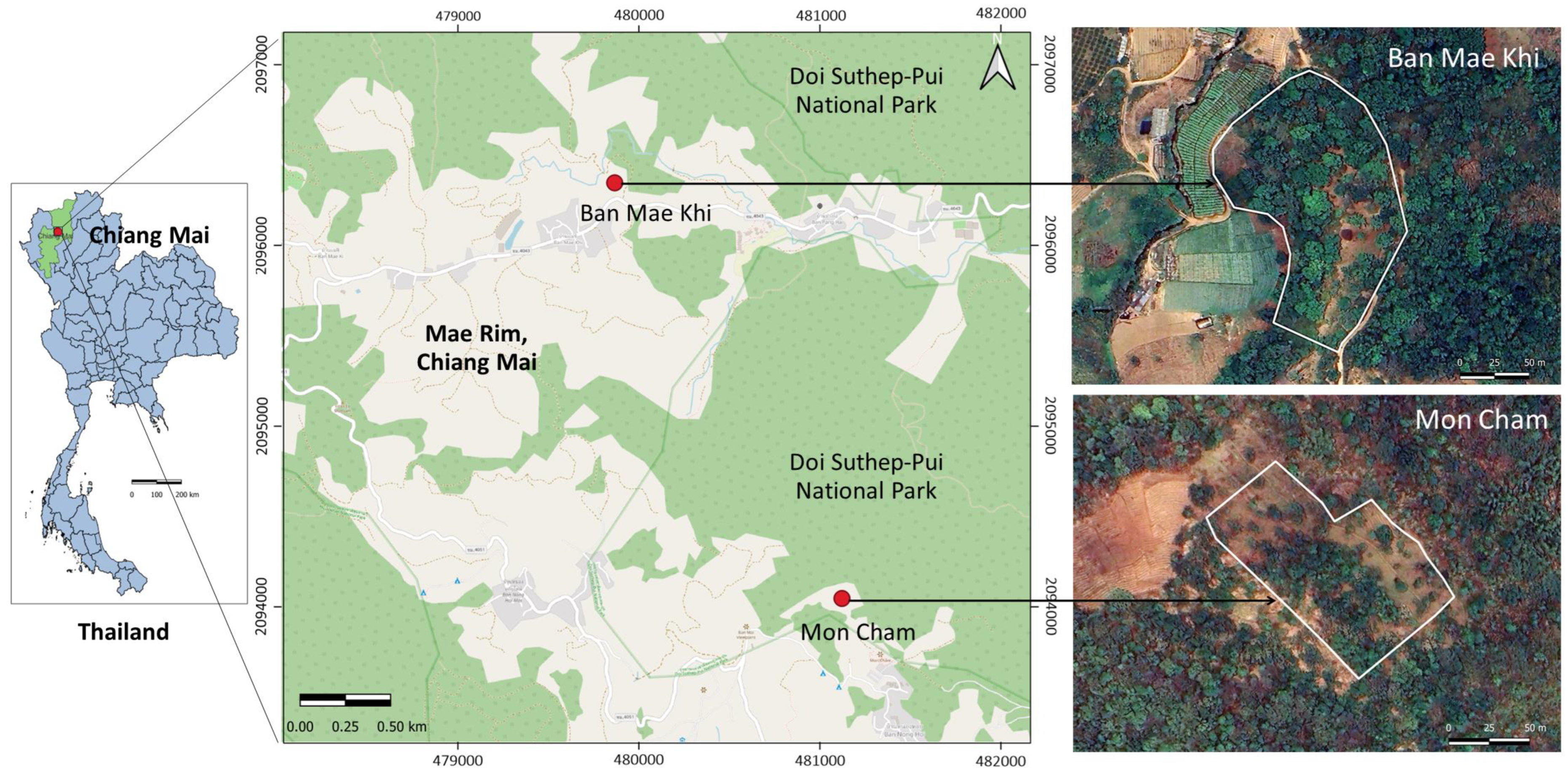 Forests 15 00674 g001 Forests 15 00674 g001