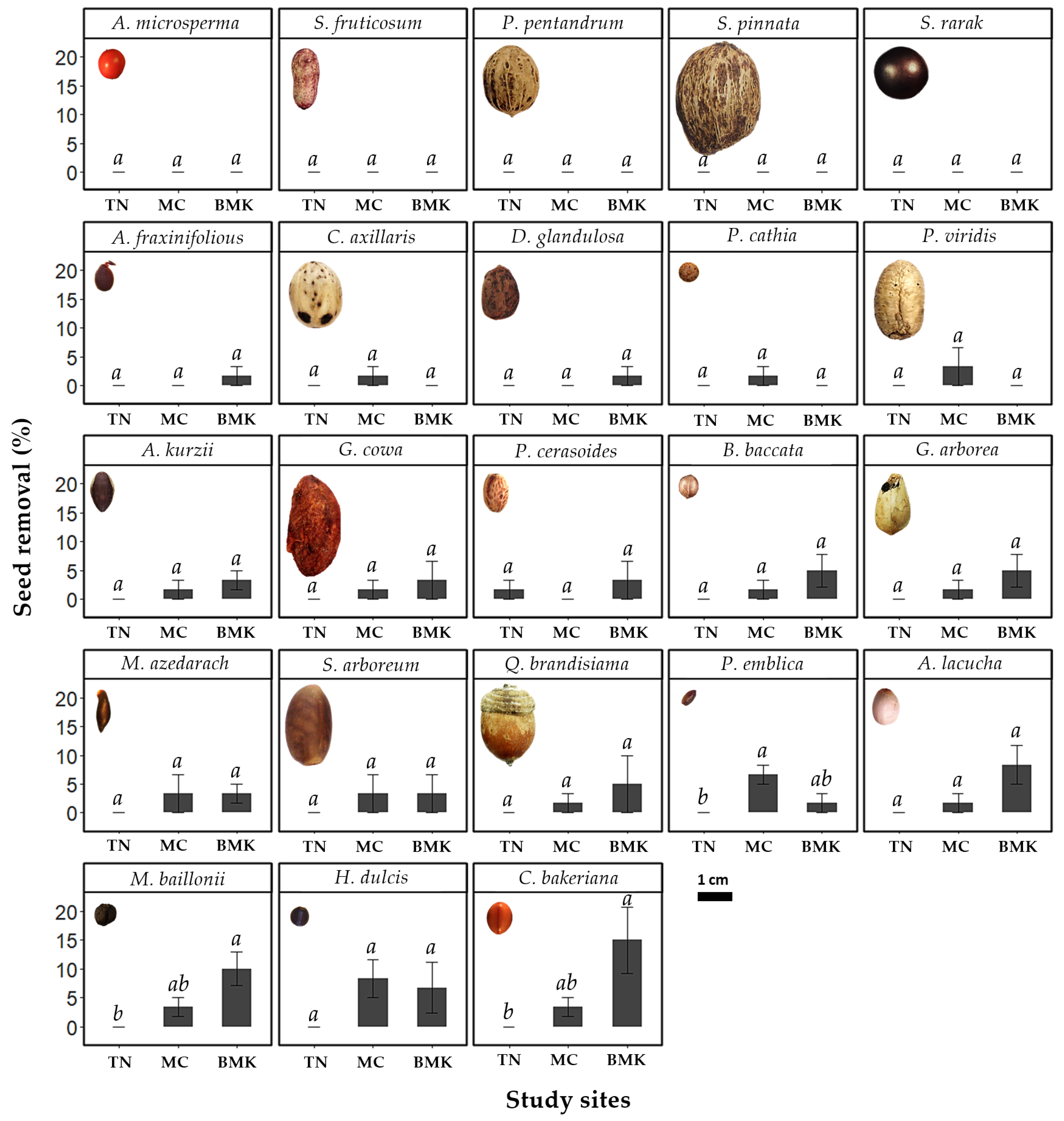 Forests 15 00674 g002 Forests 15 00674 g002