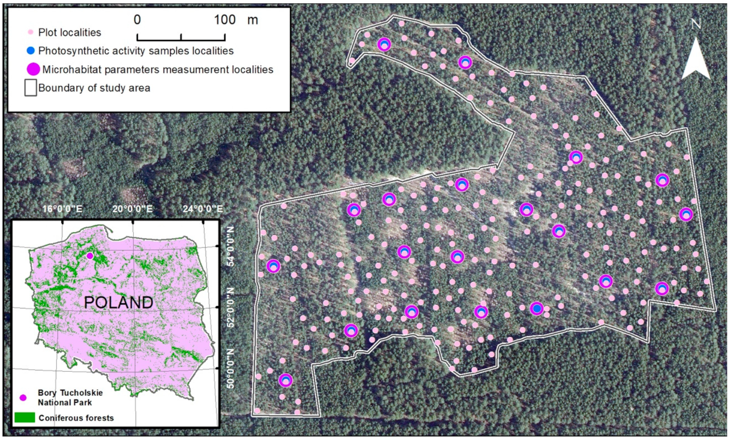 Forests 15 00675 g001