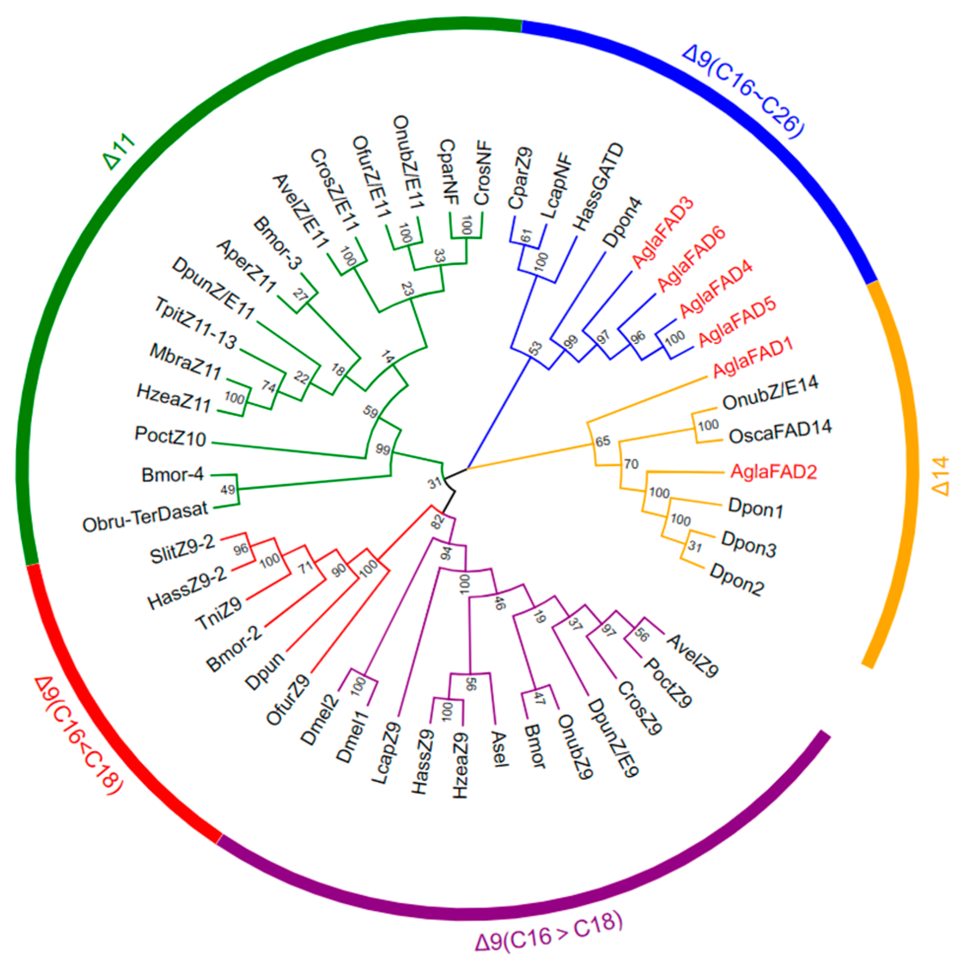 Forests 15 00690 g001