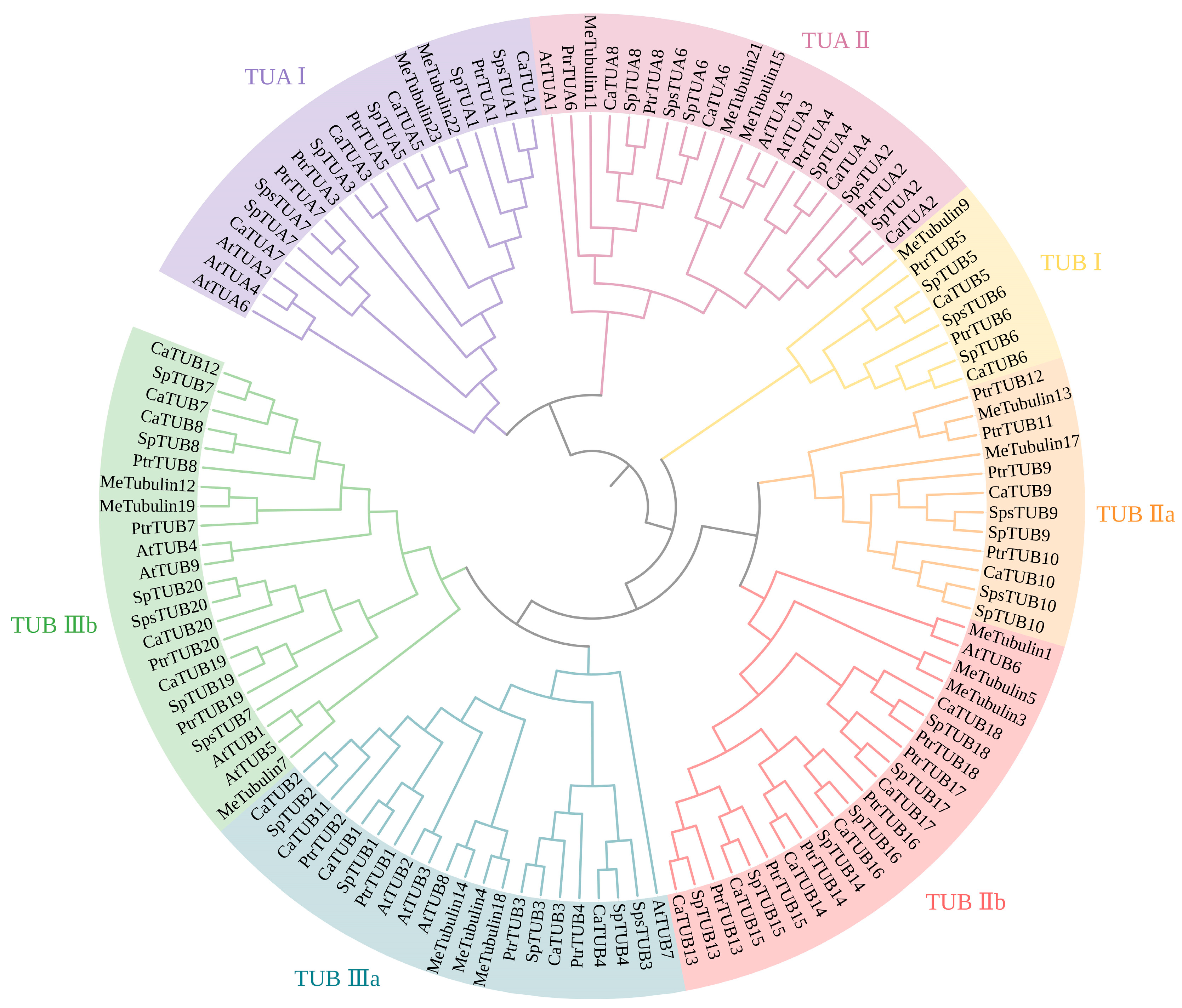 Forests 15 00696 g002