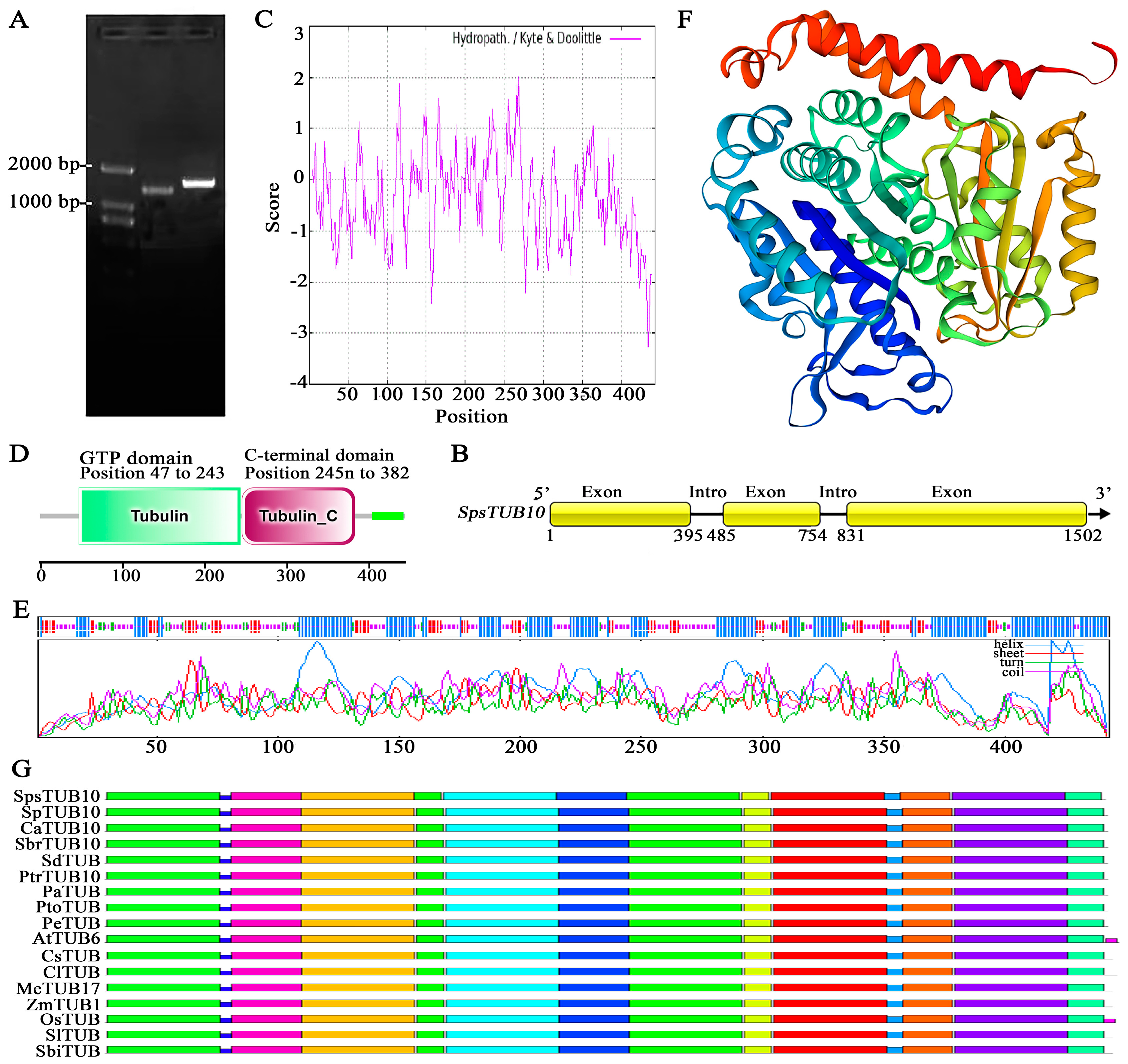 Forests 15 00696 g003