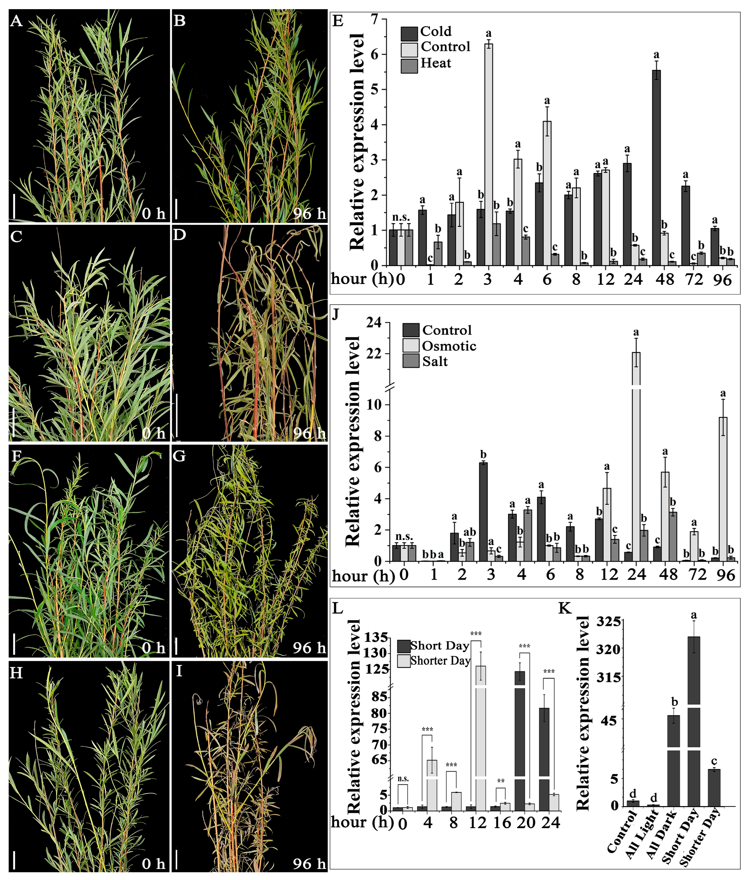 Forests 15 00696 g004
