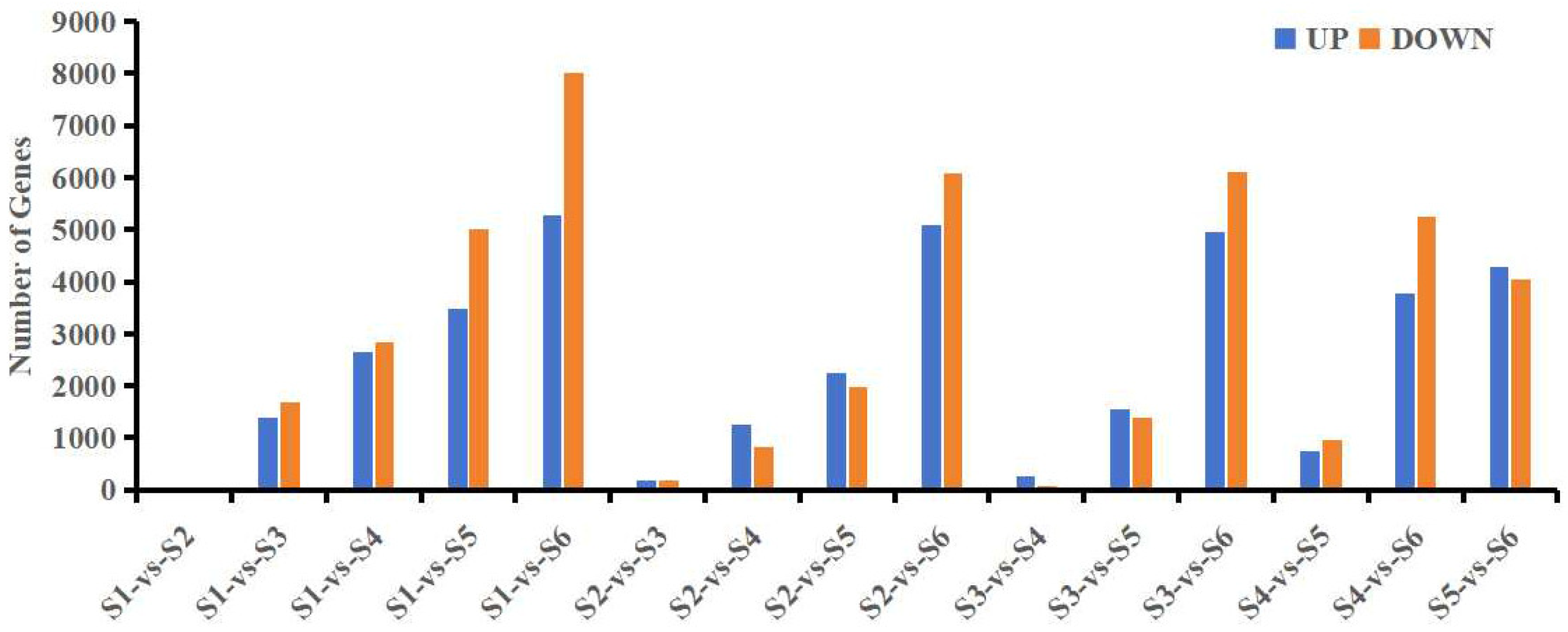 Forests 15 00709 g002