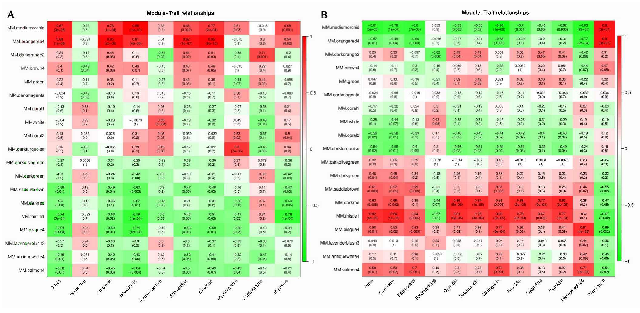 Forests 15 00709 g004