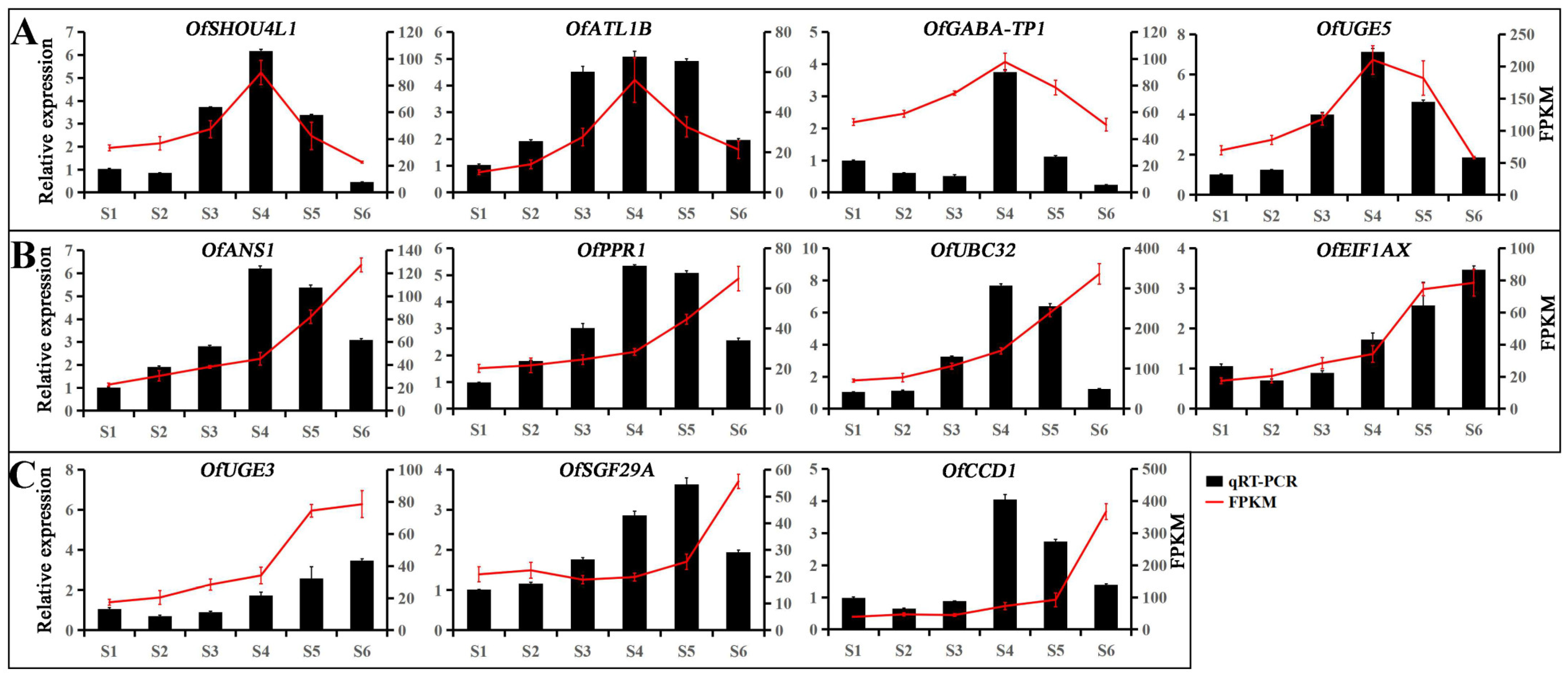 Forests 15 00709 g006