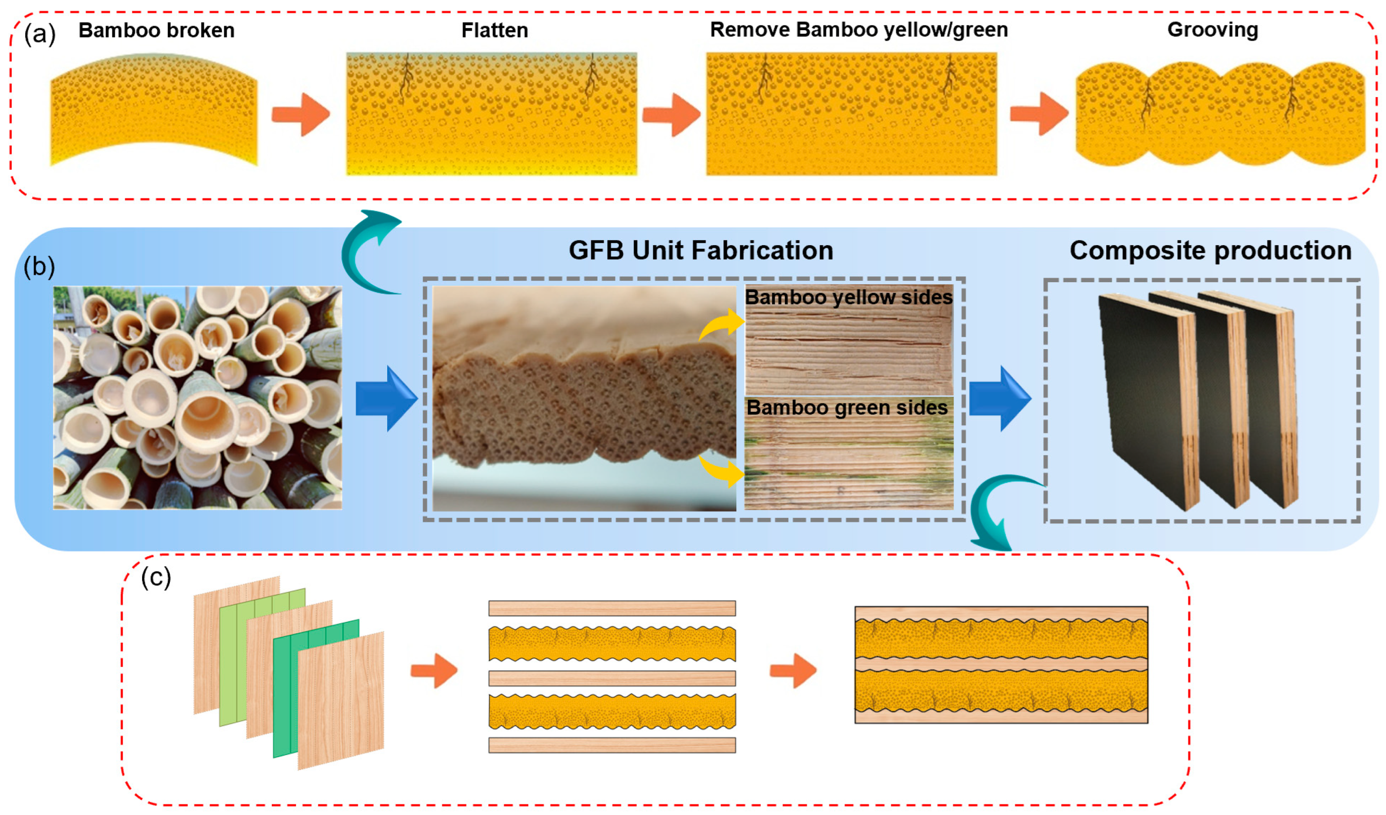 Forests 15 00716 g001