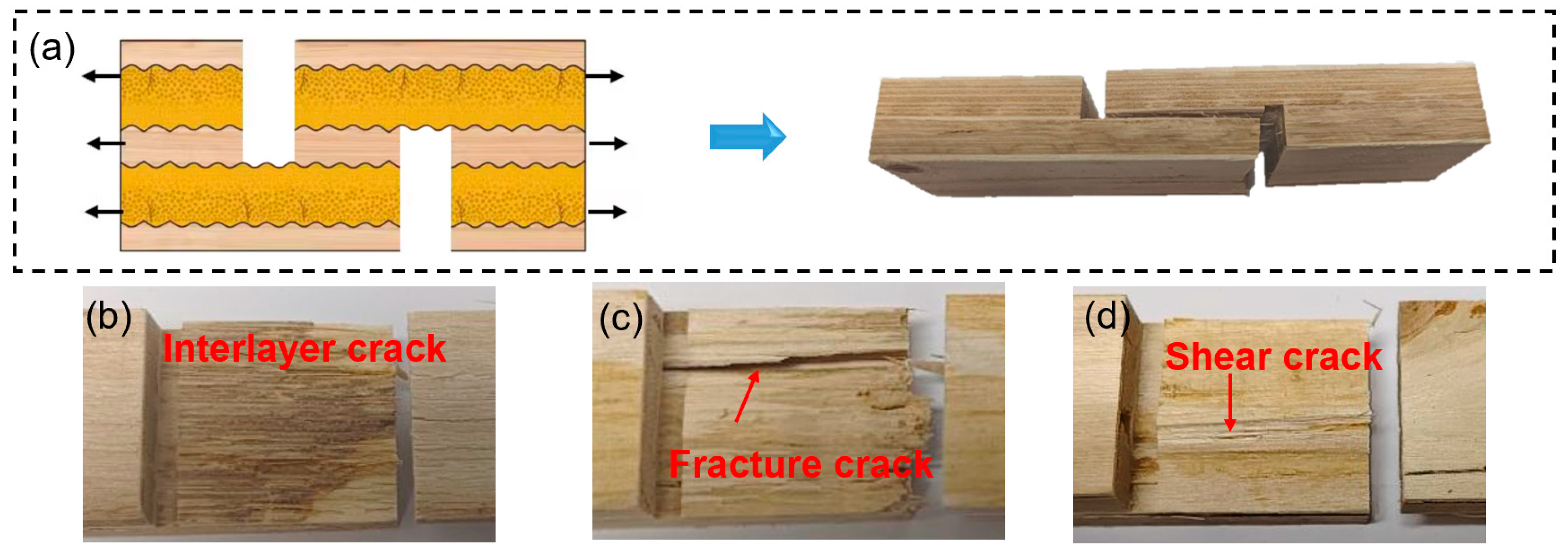 Forests 15 00716 g006
