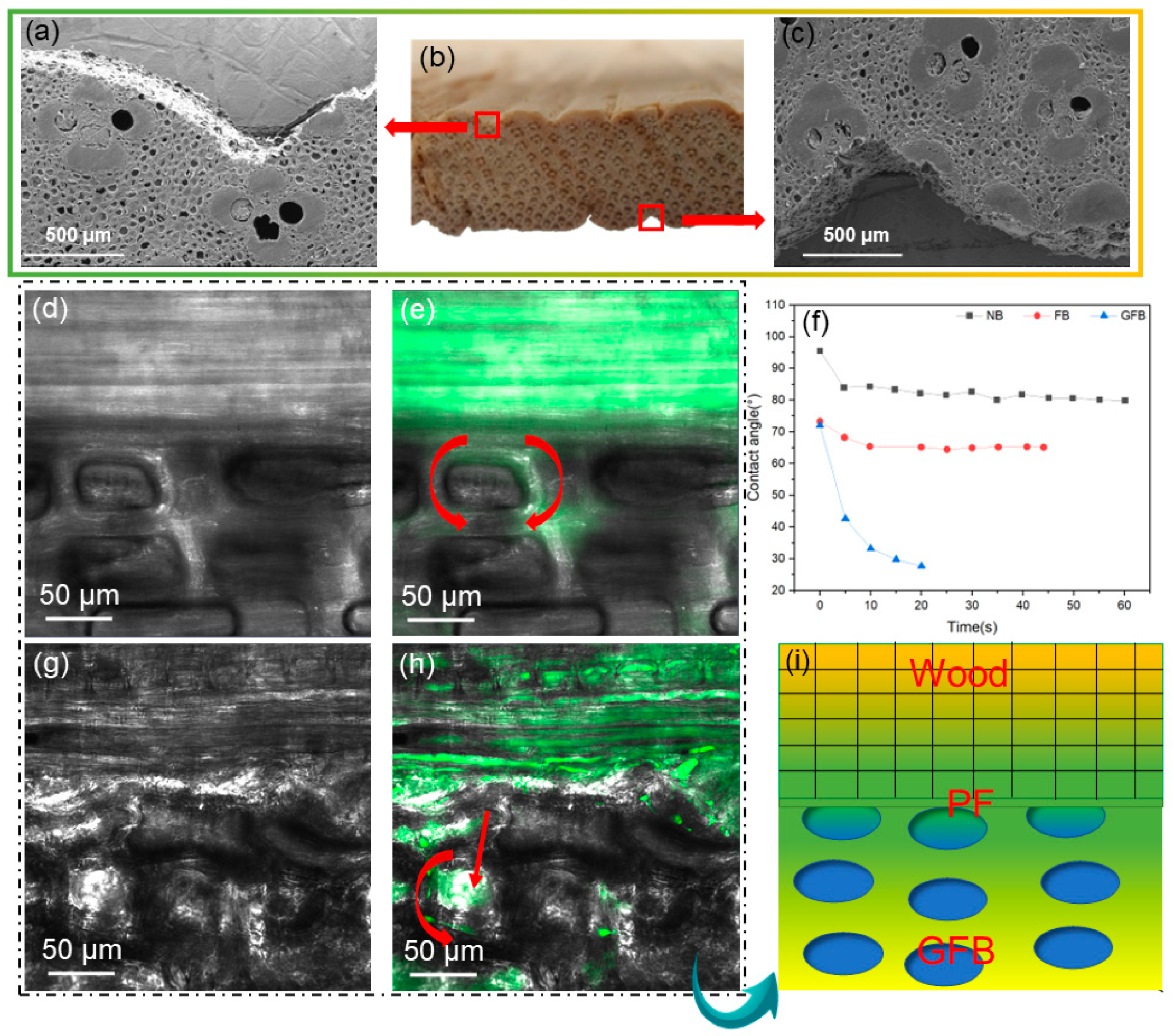 Forests 15 00716 g008
