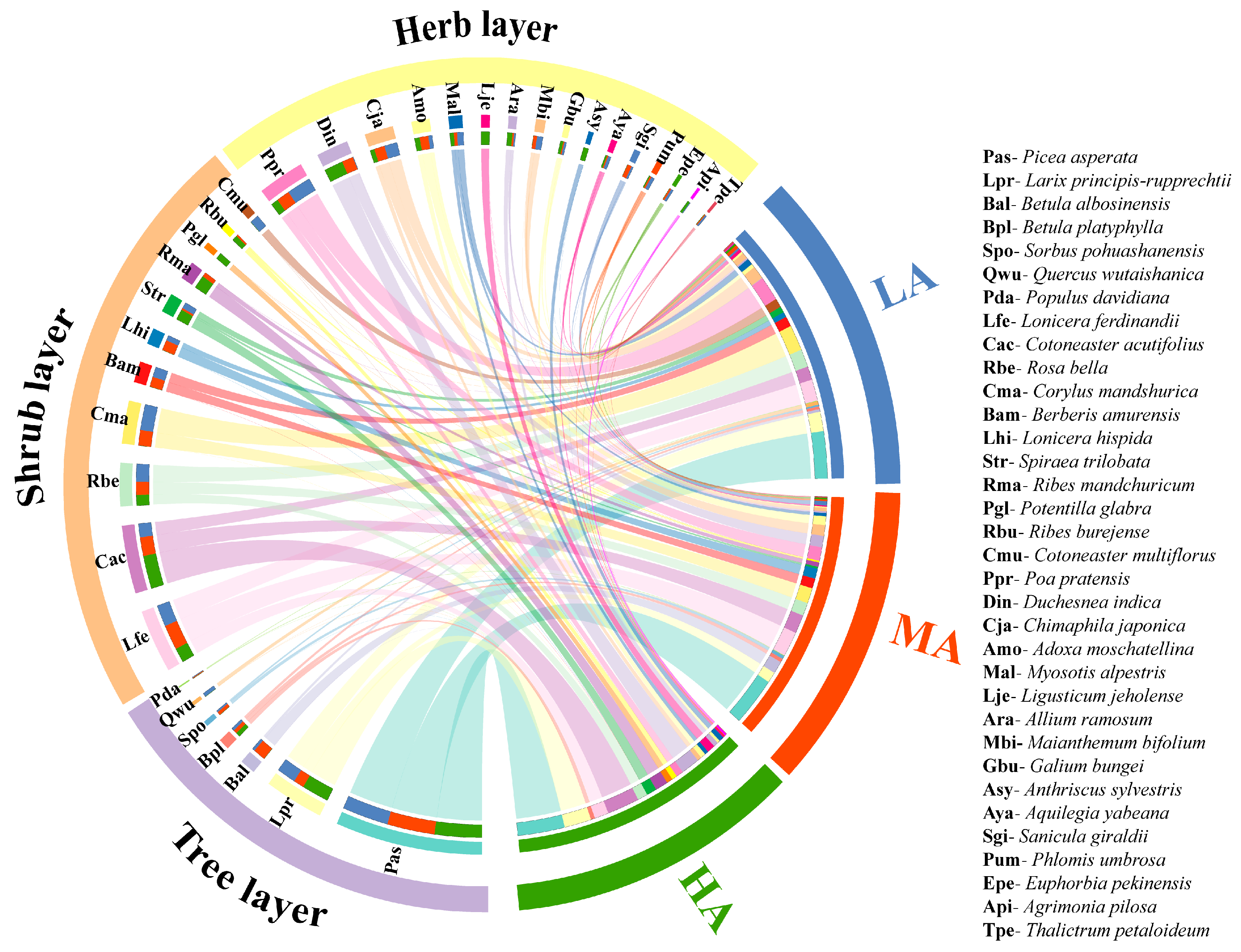 Forests 15 00771 g002 Forests 15 00771 g002