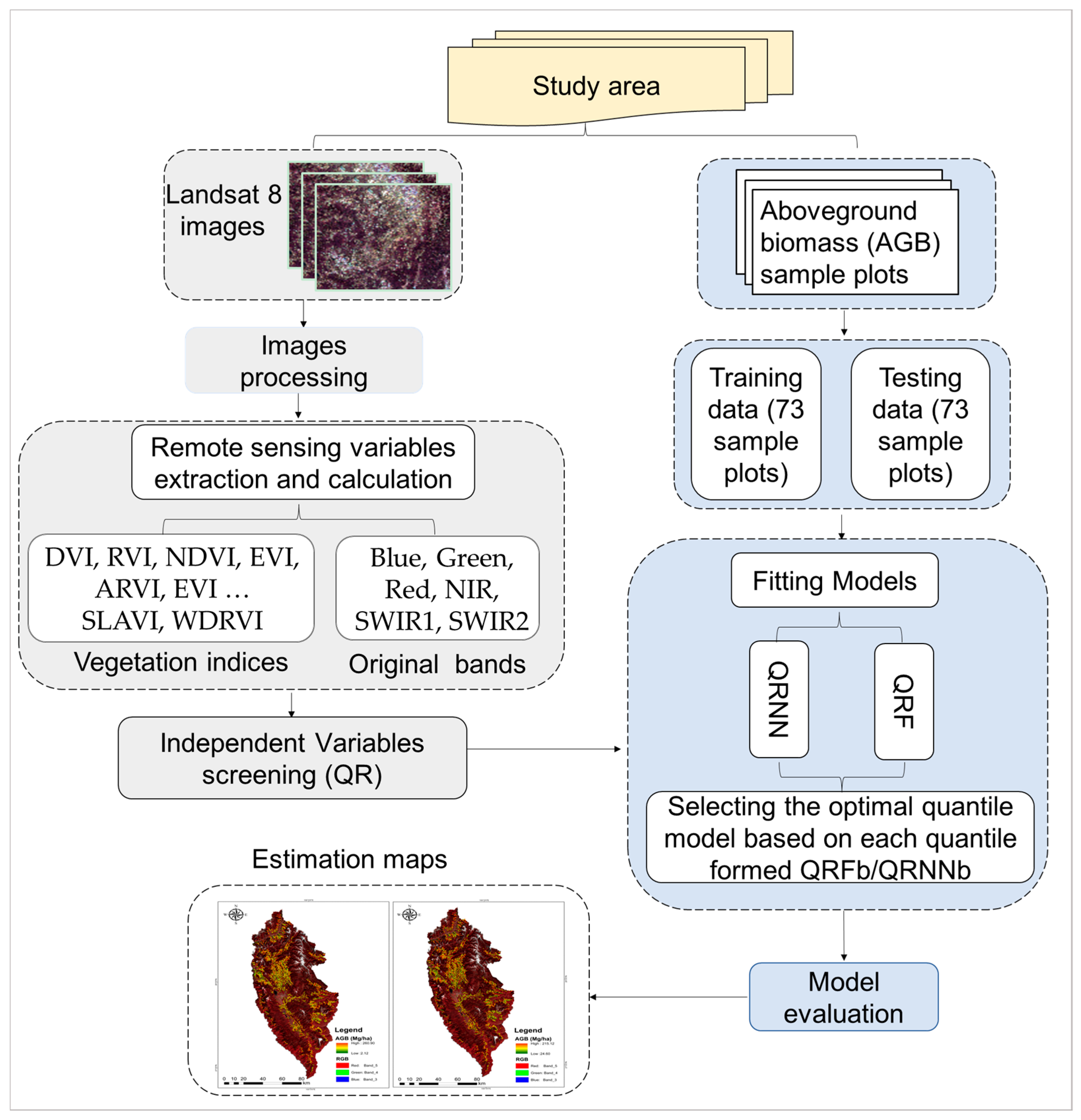 Forests 15 00782 g001