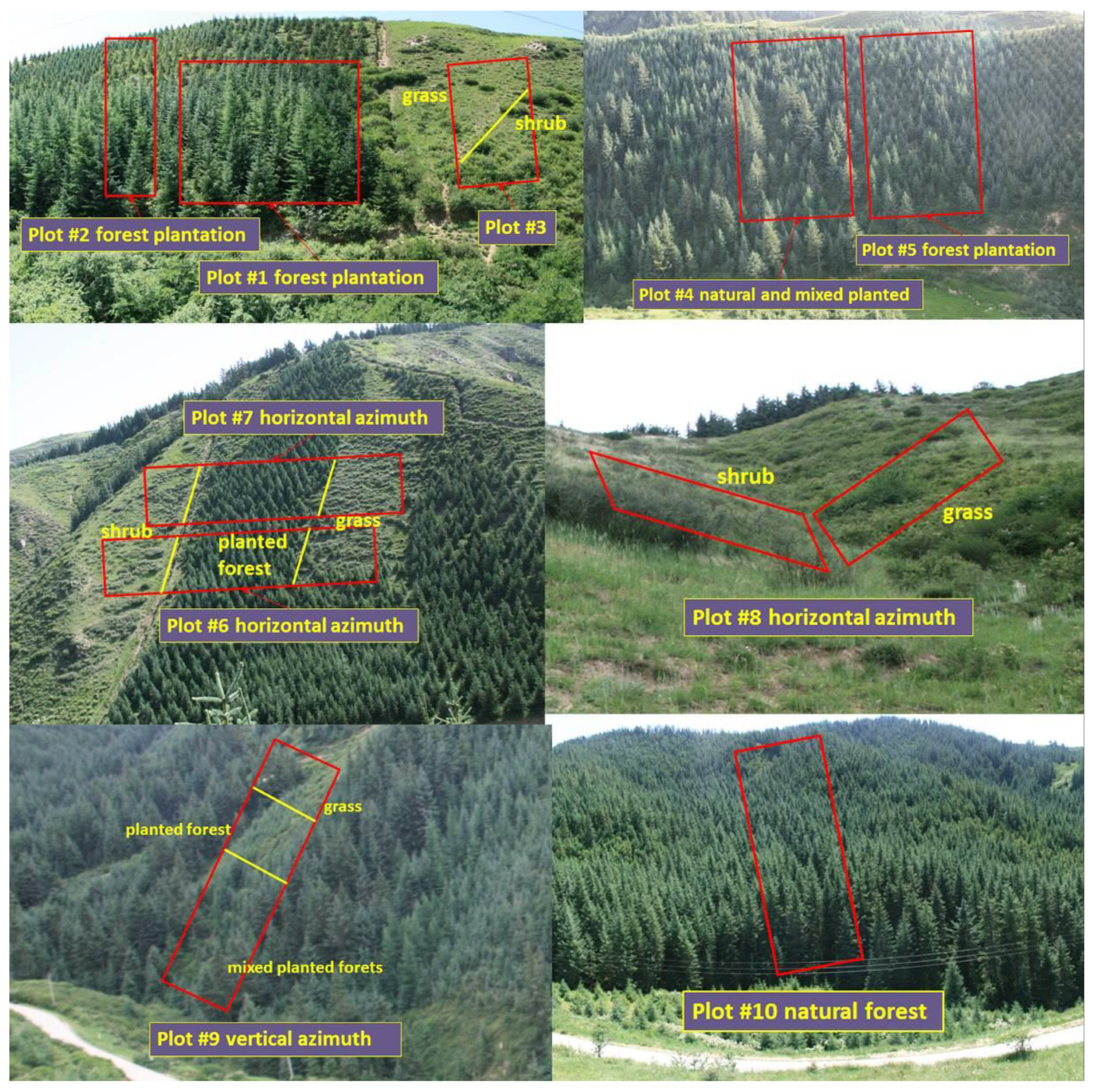 Forests 15 00789 g002