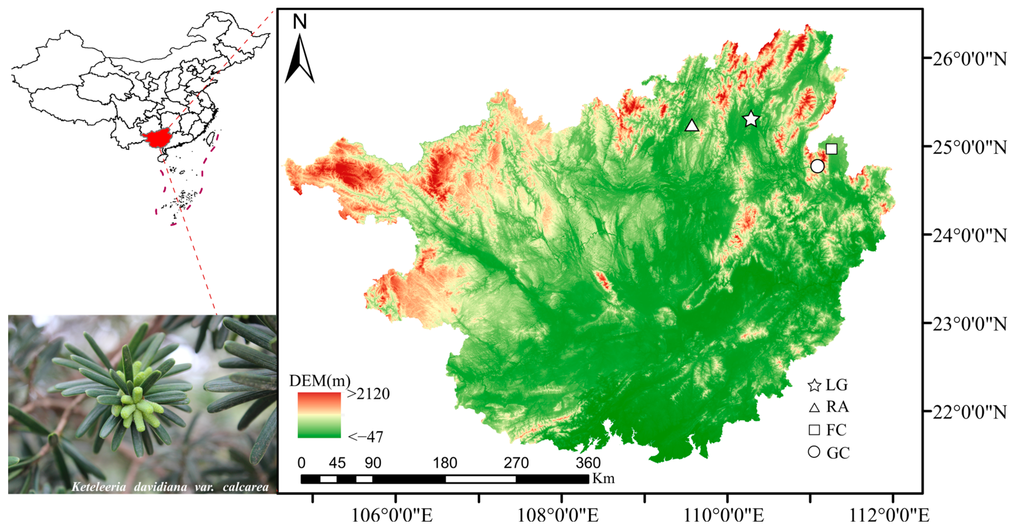 Forests 15 00793 g001