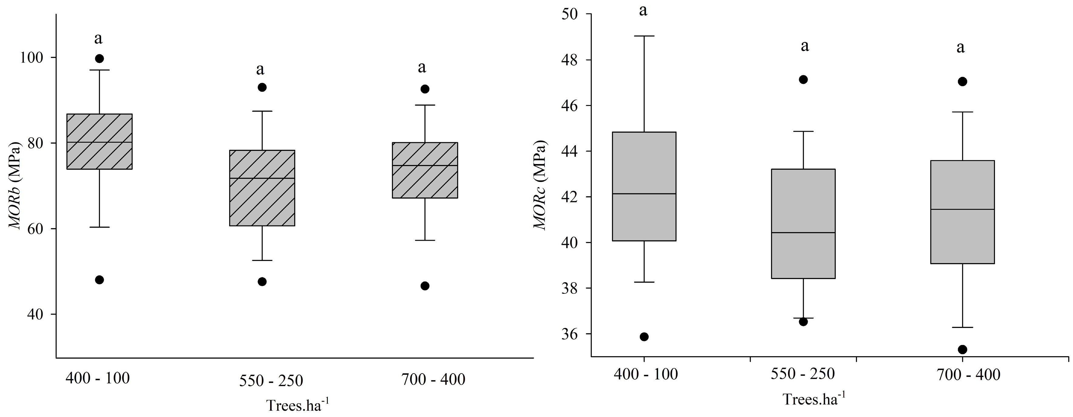 Forests 15 00810 g010 Forests 15 00810 g010