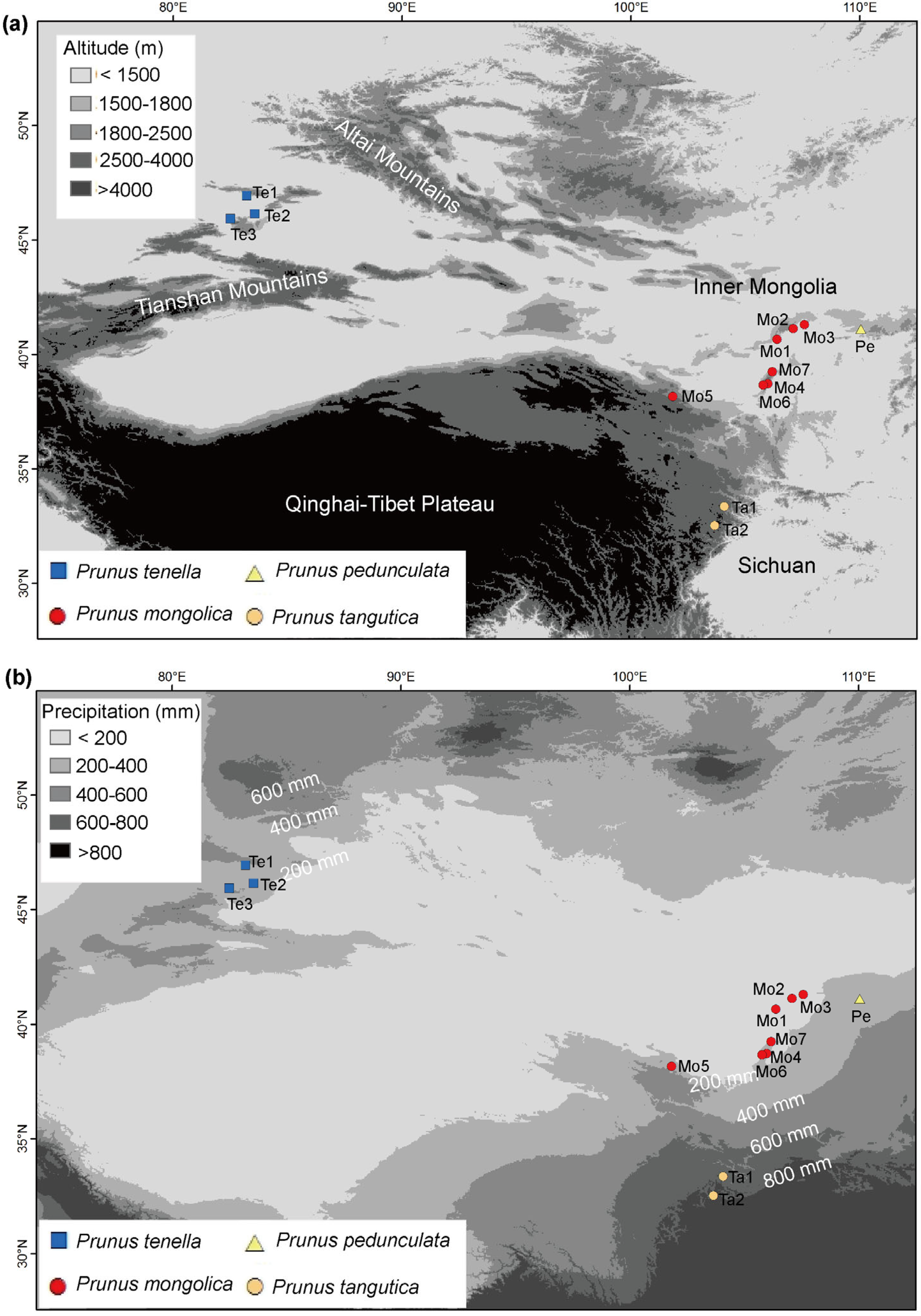 Forests 15 00834 g001