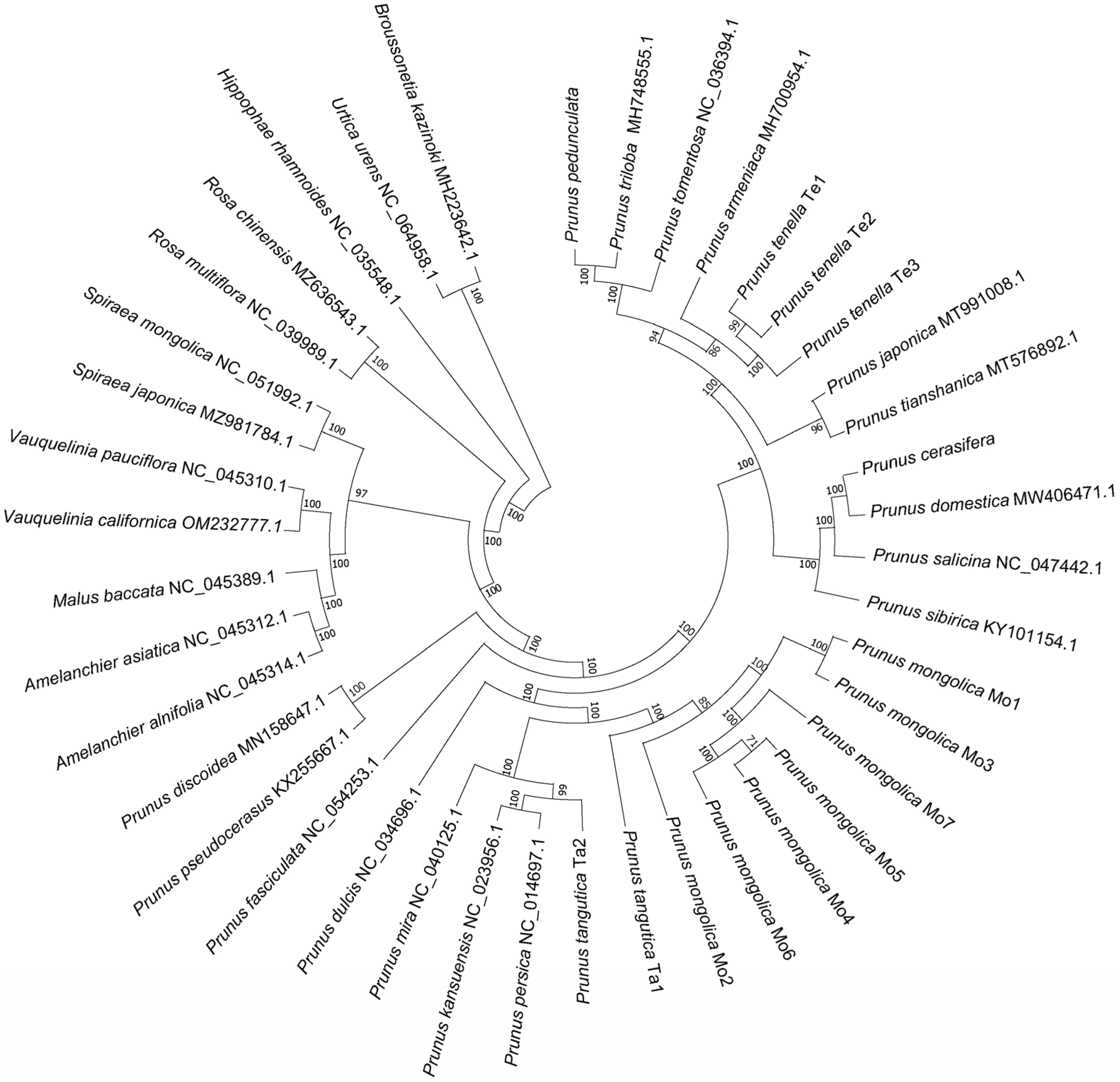Forests 15 00834 g002