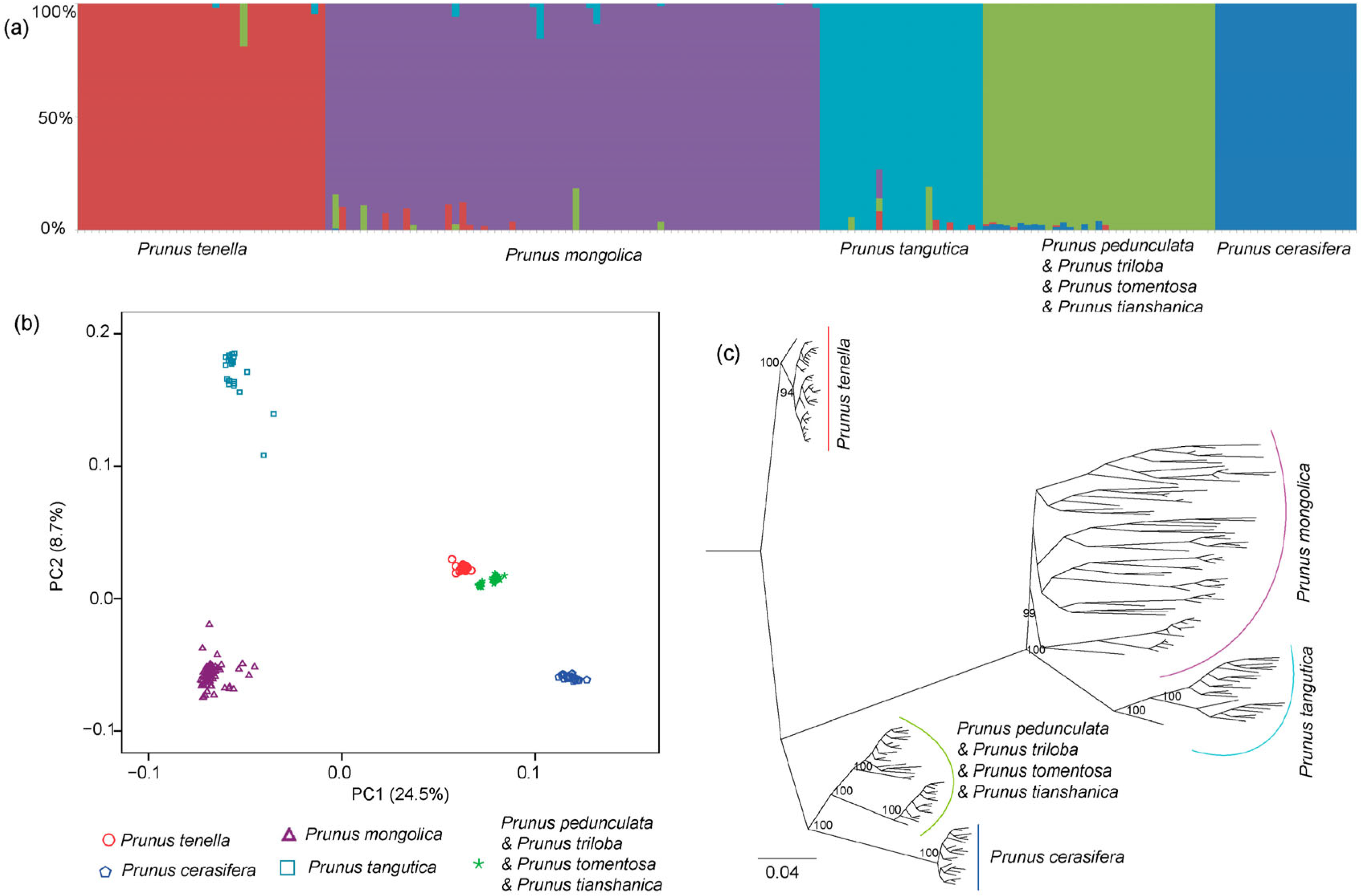 Forests 15 00834 g003