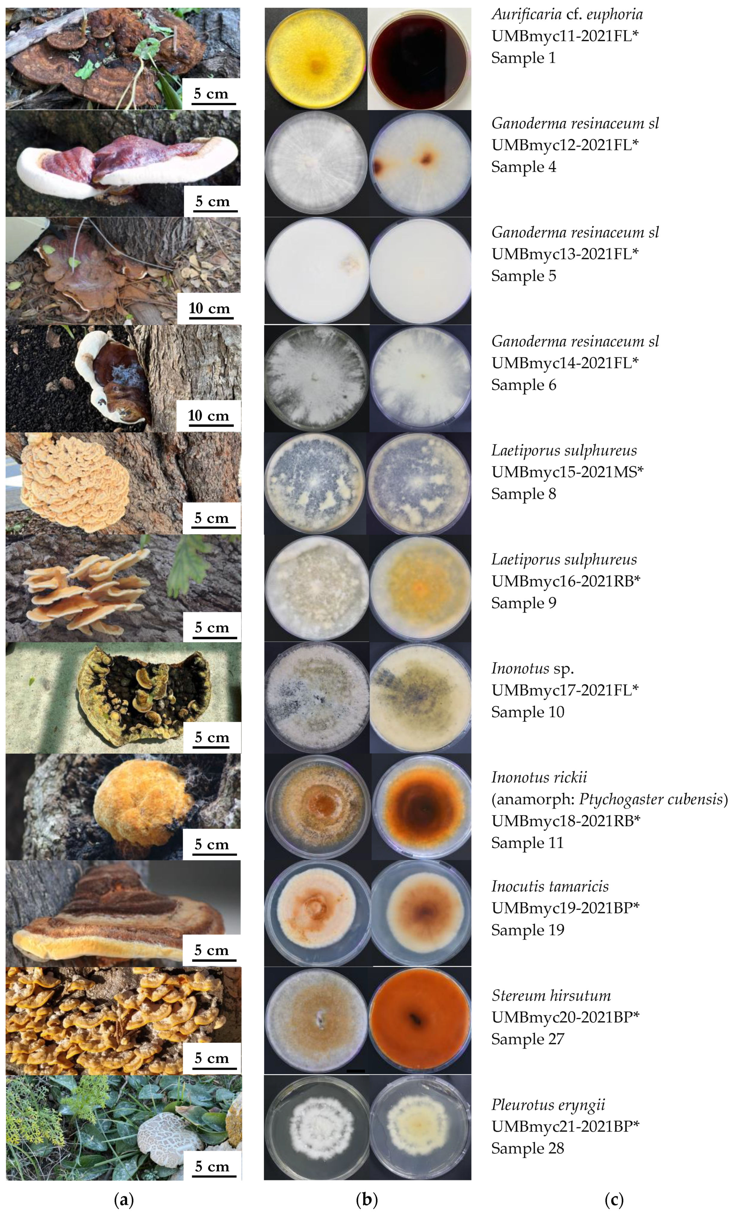 Forests 15 00850 g003 Forests 15 00850 g003