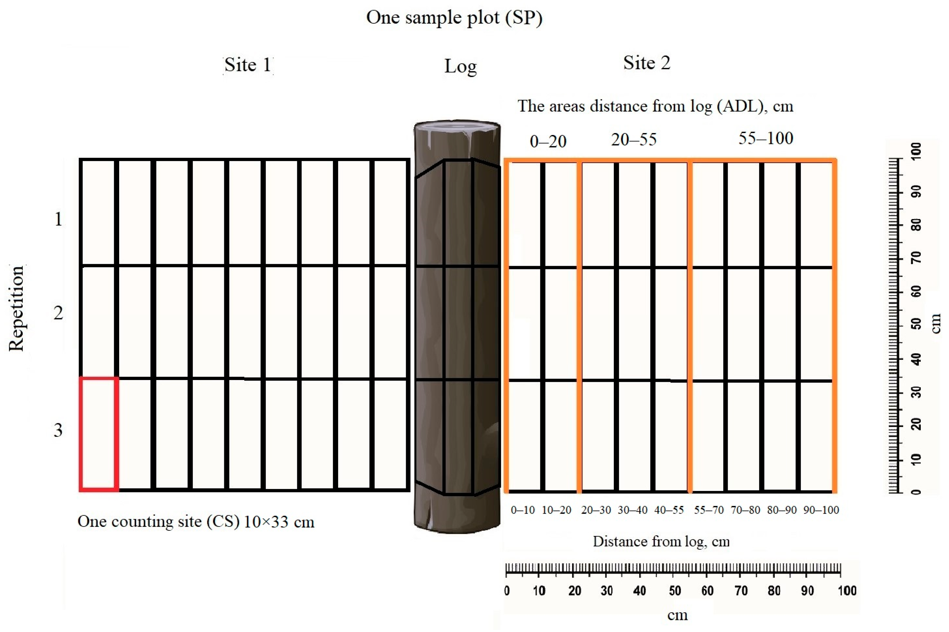 Forests 15 00884 g002