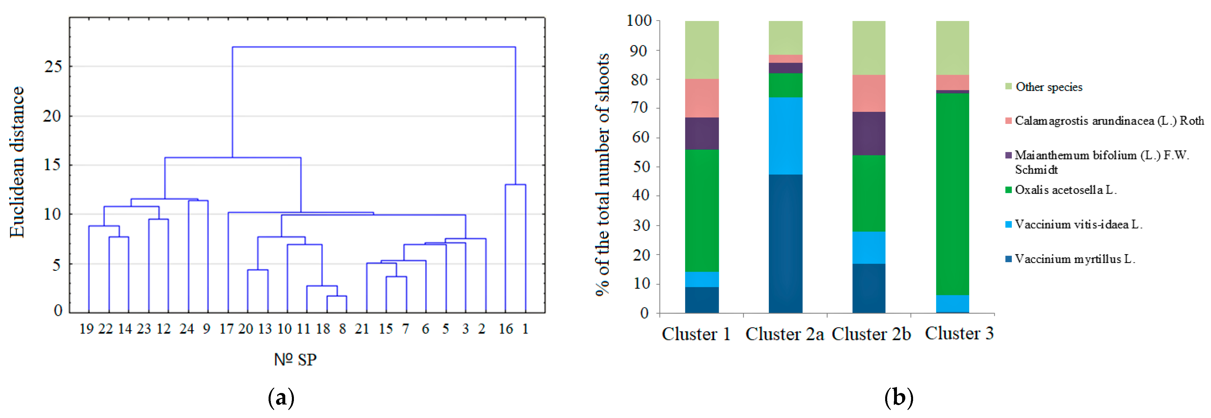Forests 15 00884 g003