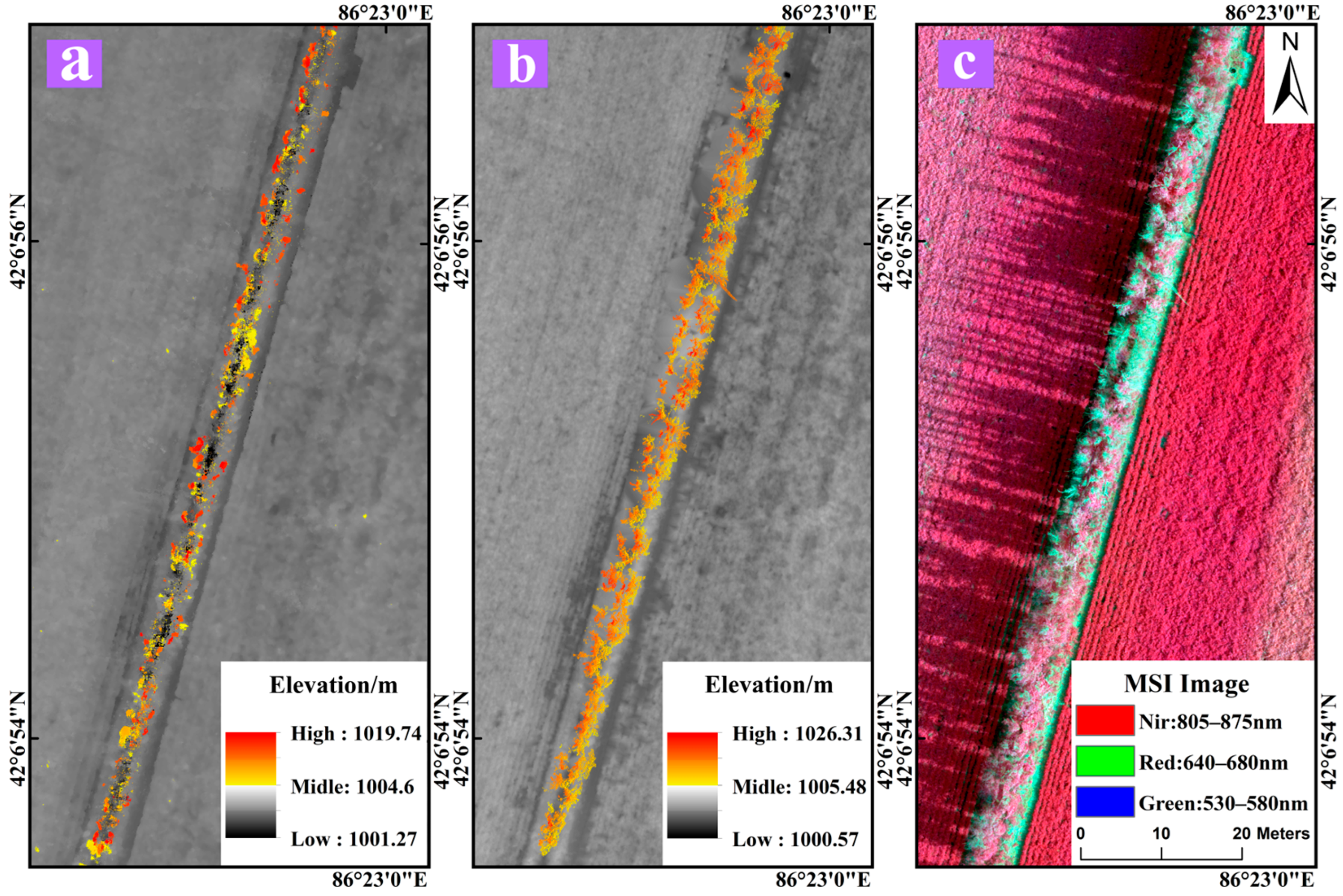 Forests 15 00891 g004