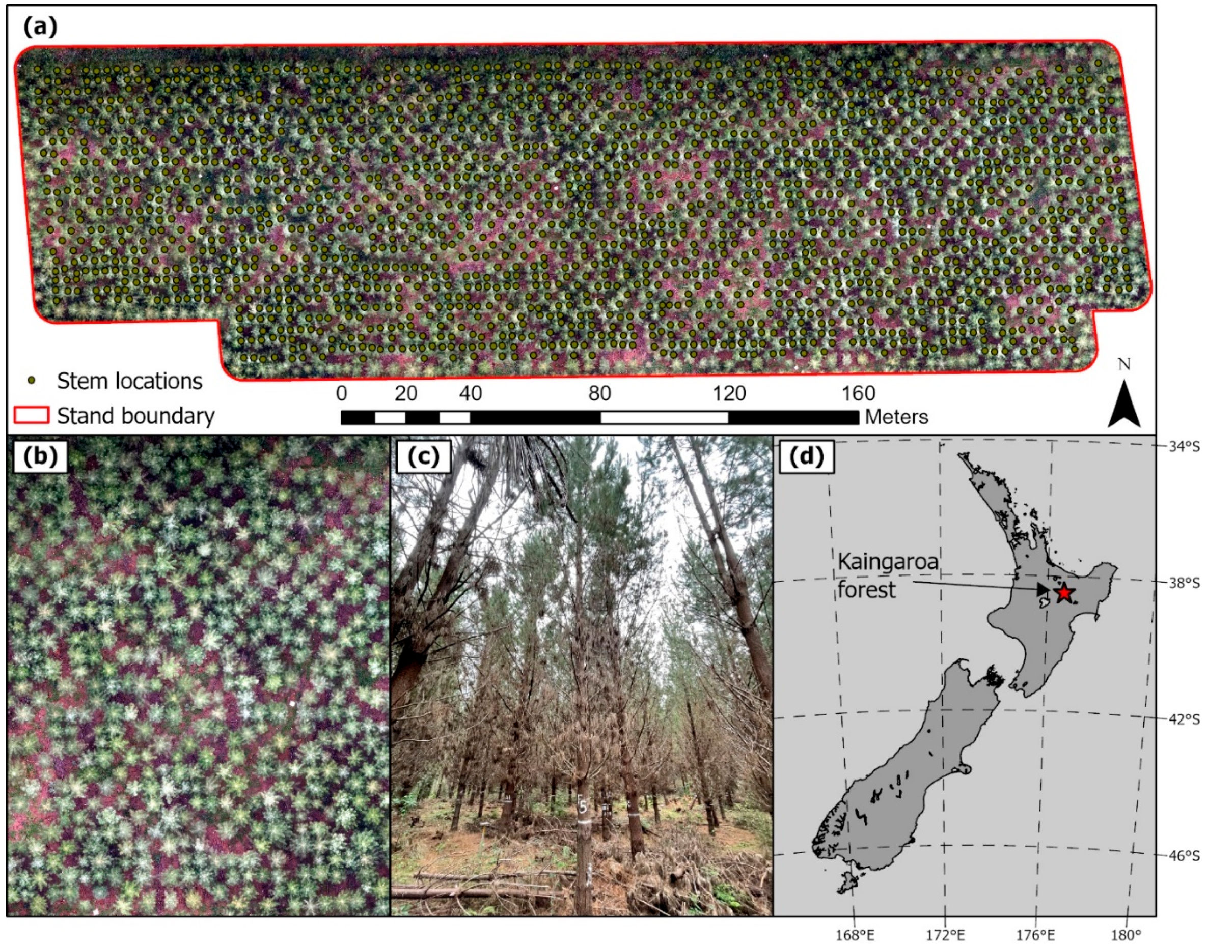 Forests 15 00899 g001