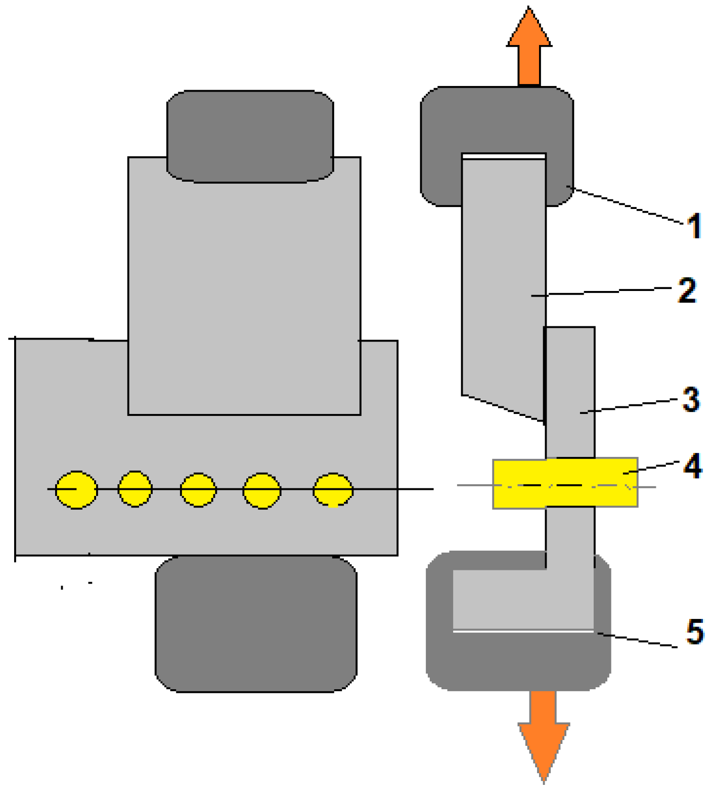 Forests 15 00902 g004