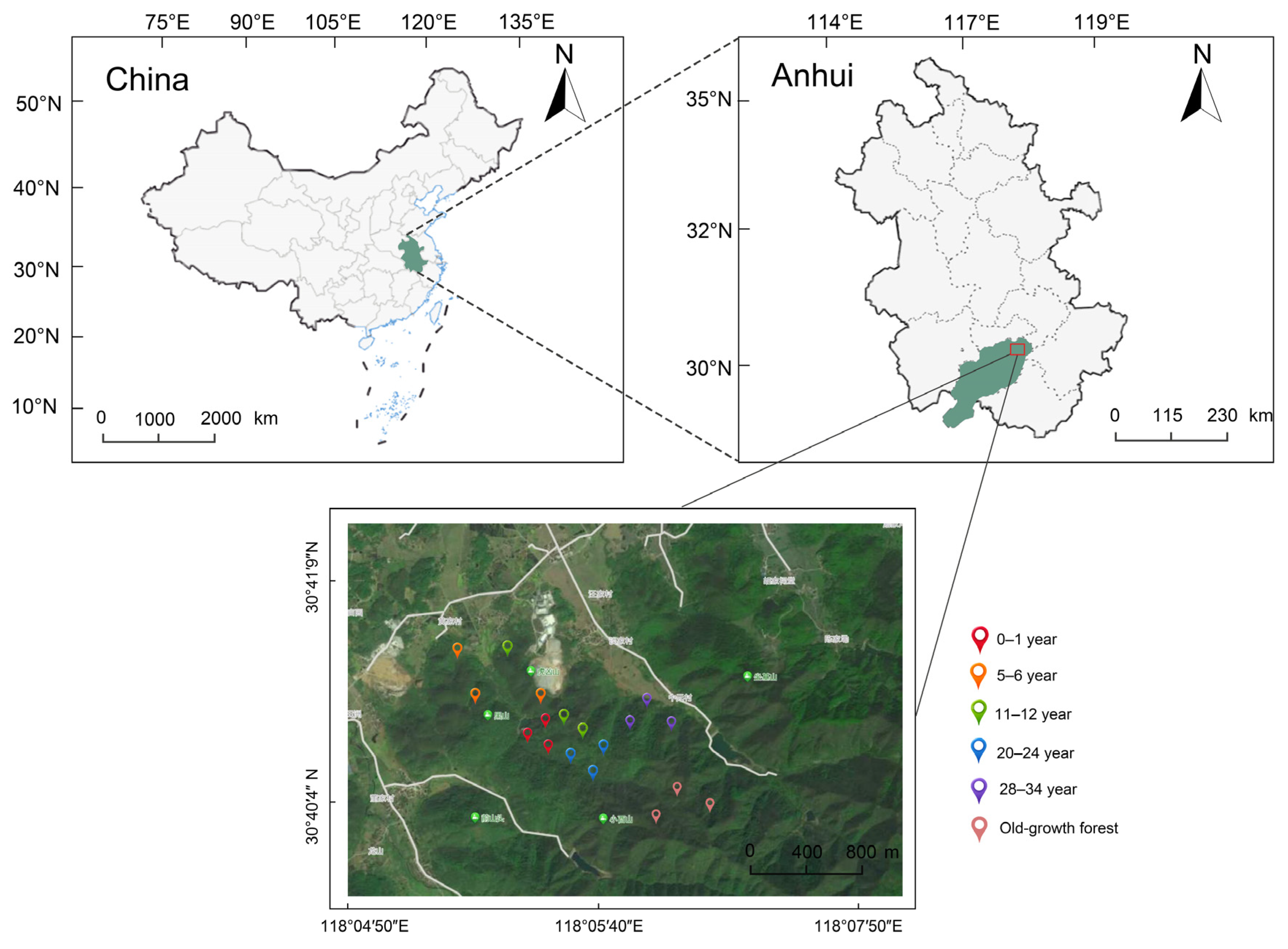 Forests 15 00907 g001