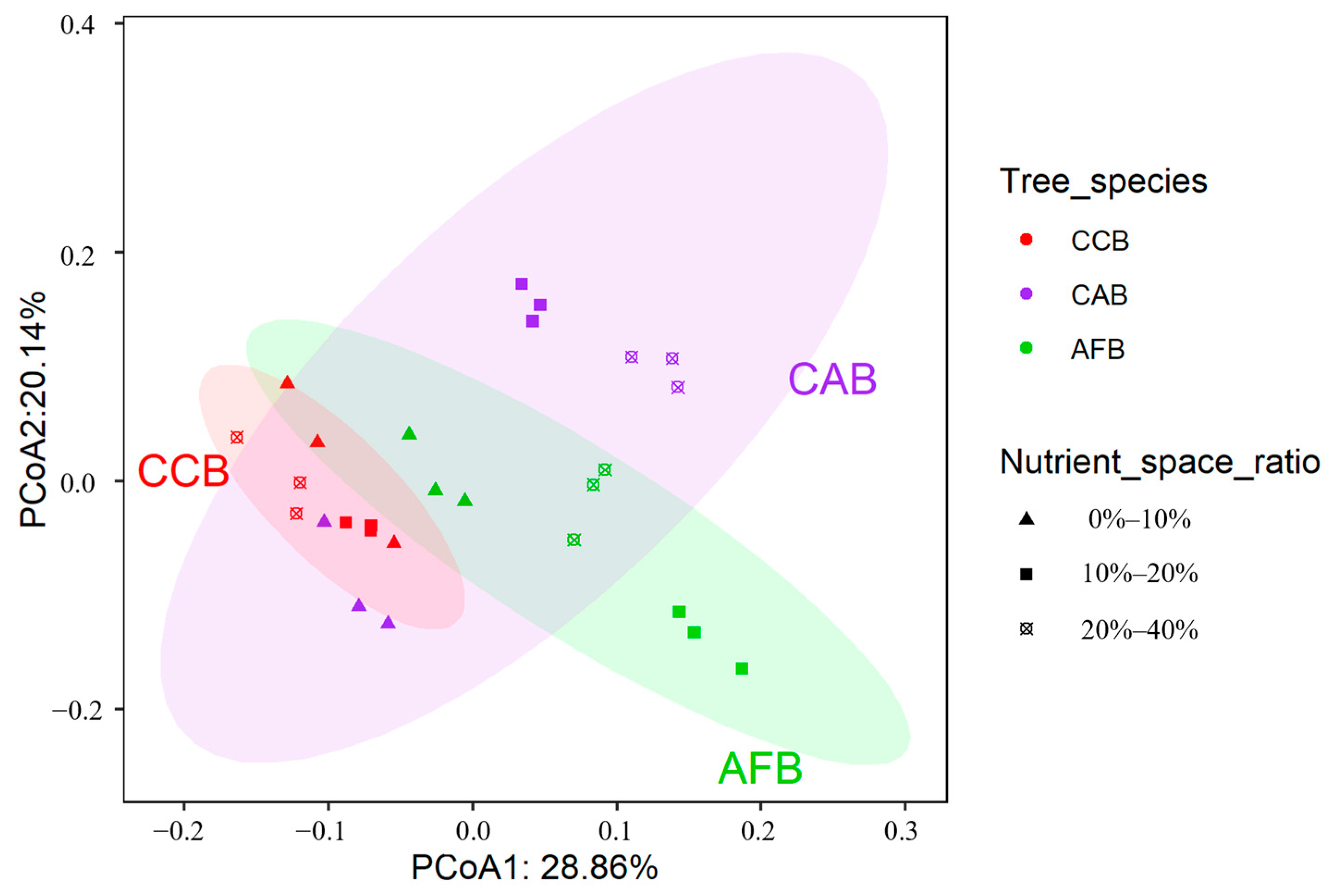 Forests 15 00921 g005