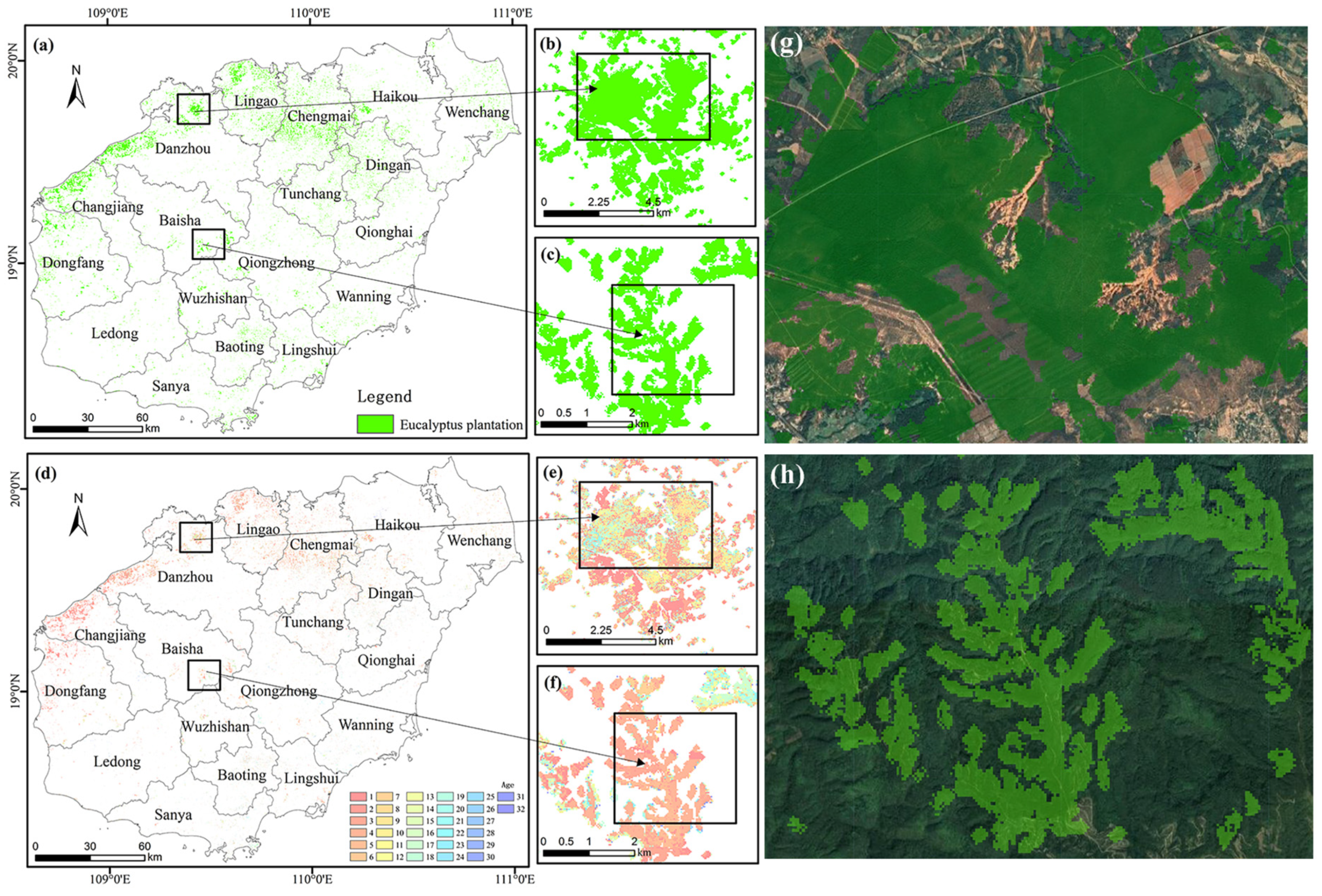 Forests 15 00925 g005