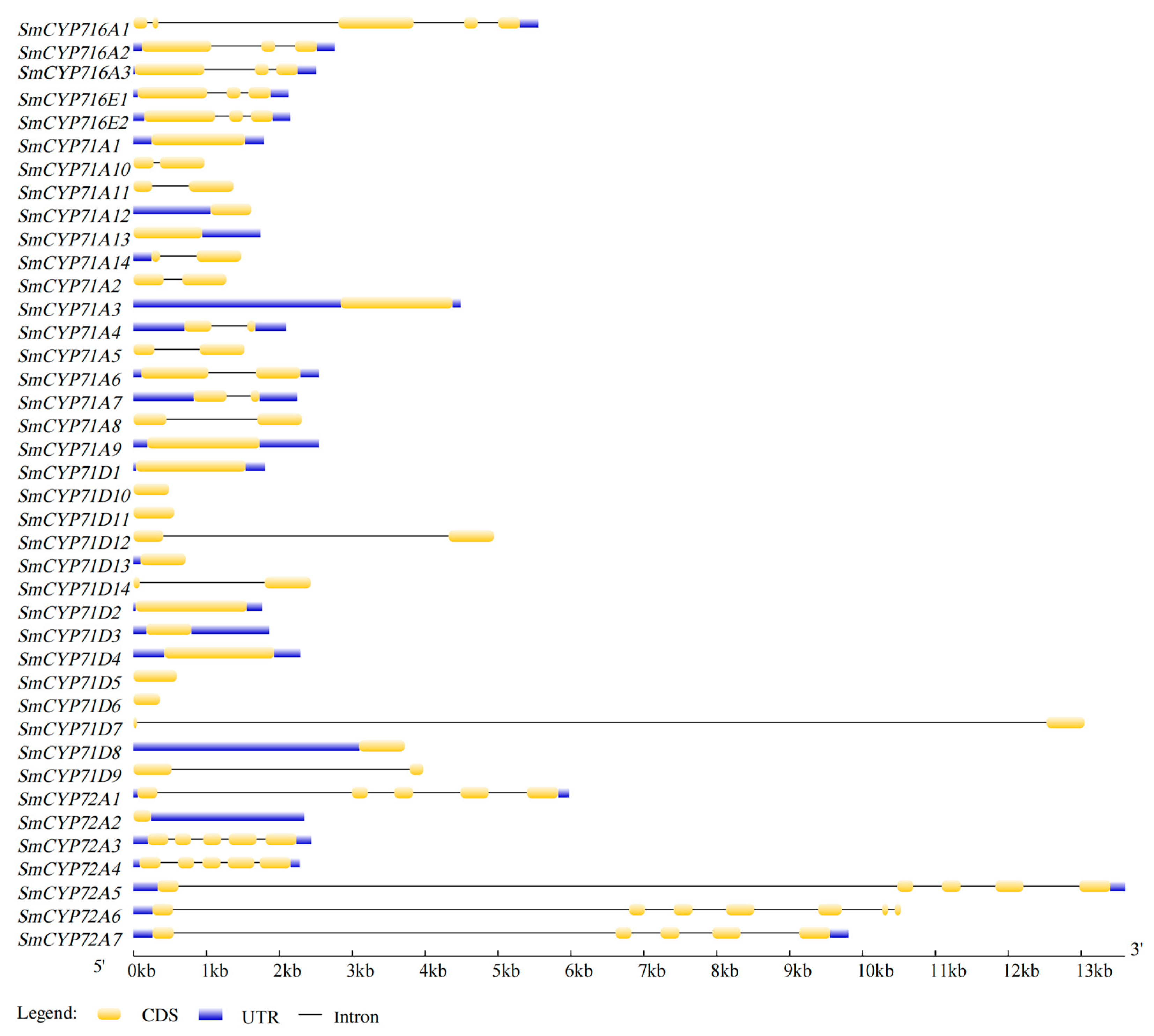 Forests 15 00926 g001